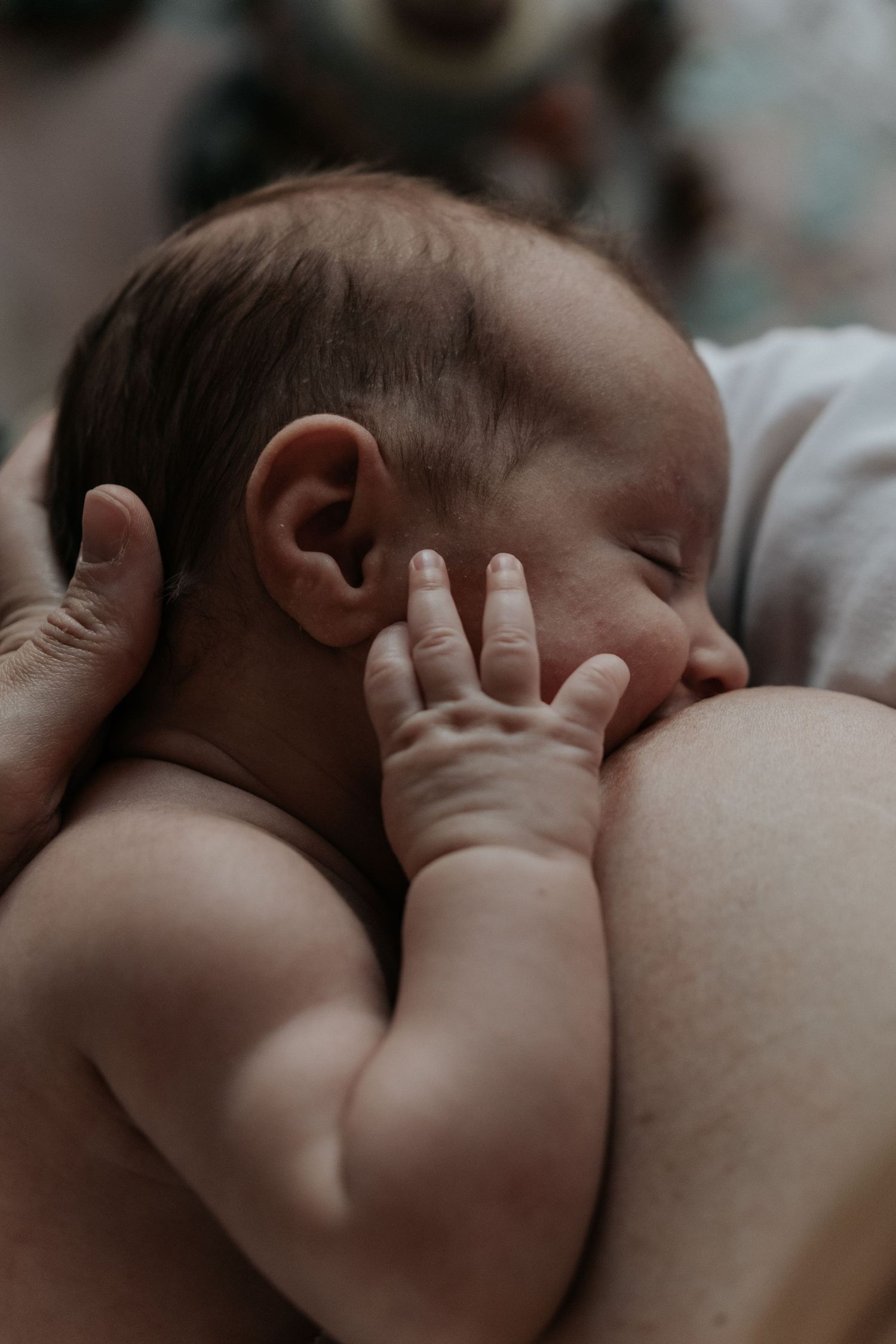 Close-up of sleeping newborn breastfeeding with tiny hand resting on mother's breast.