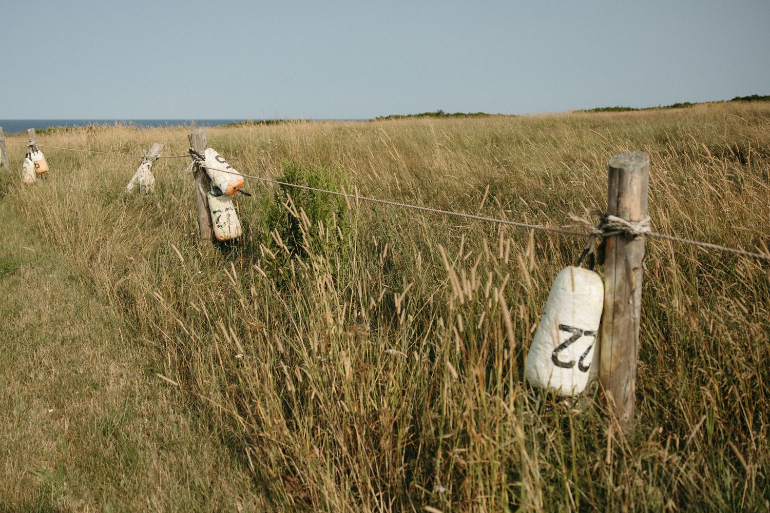 White chairs set up on a grassy beach for an outdoor wedding ceremony.