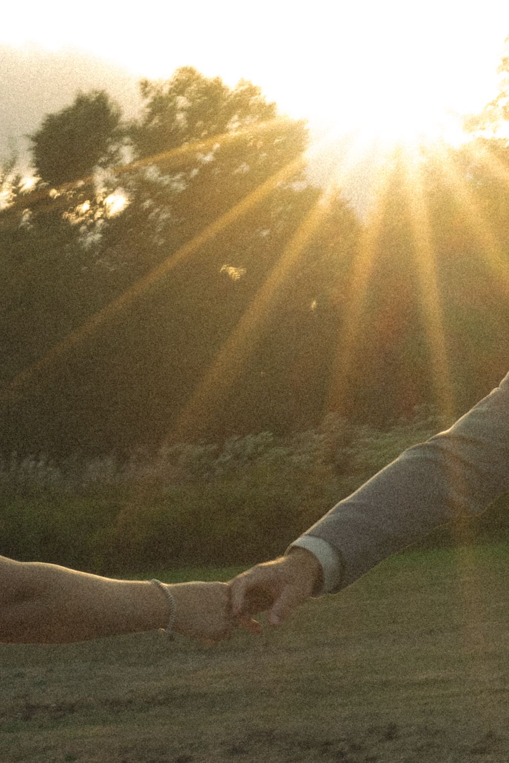 Two hands joined together against a sunset backdrop with sunbeams streaming through trees.