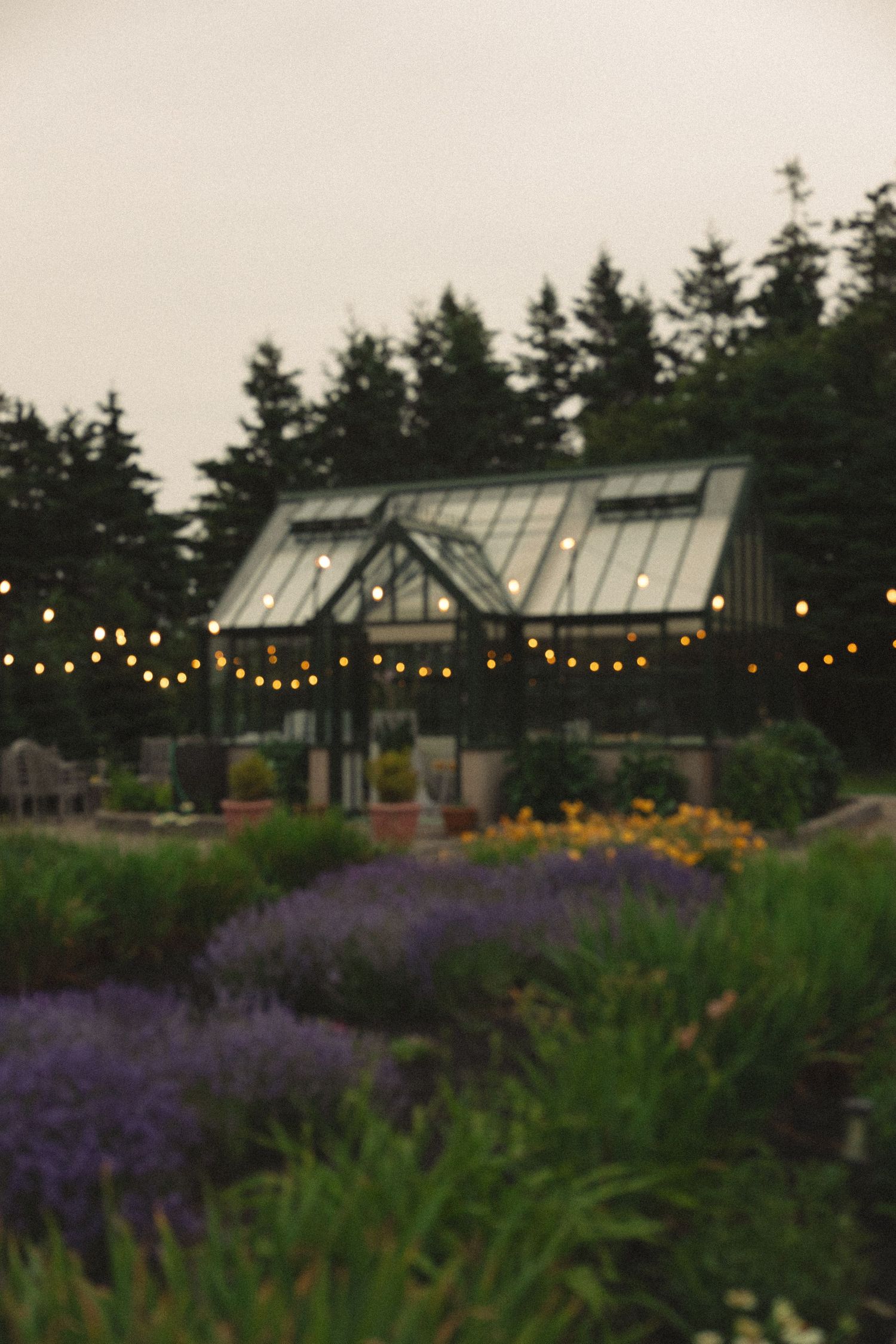 Glowing greenhouse surrounded by string lights, lavender, and colorful garden flowers at dusk wedding venue.