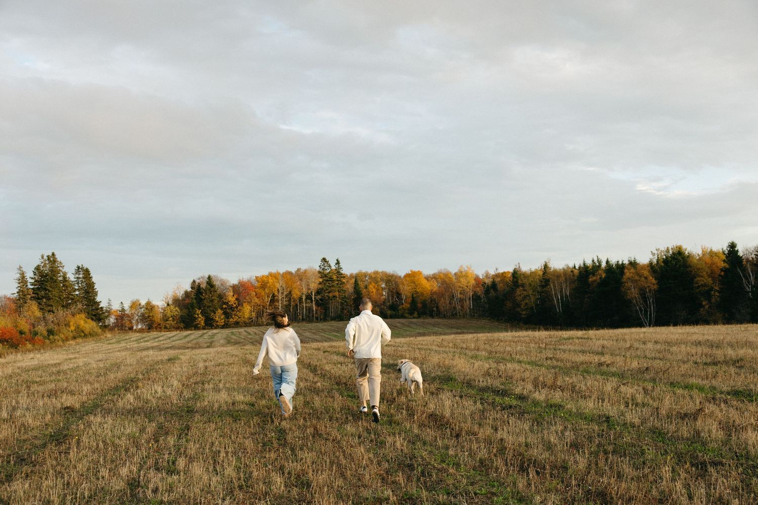 Two people in white clothing walk with their dog across an autumn field at sunset.