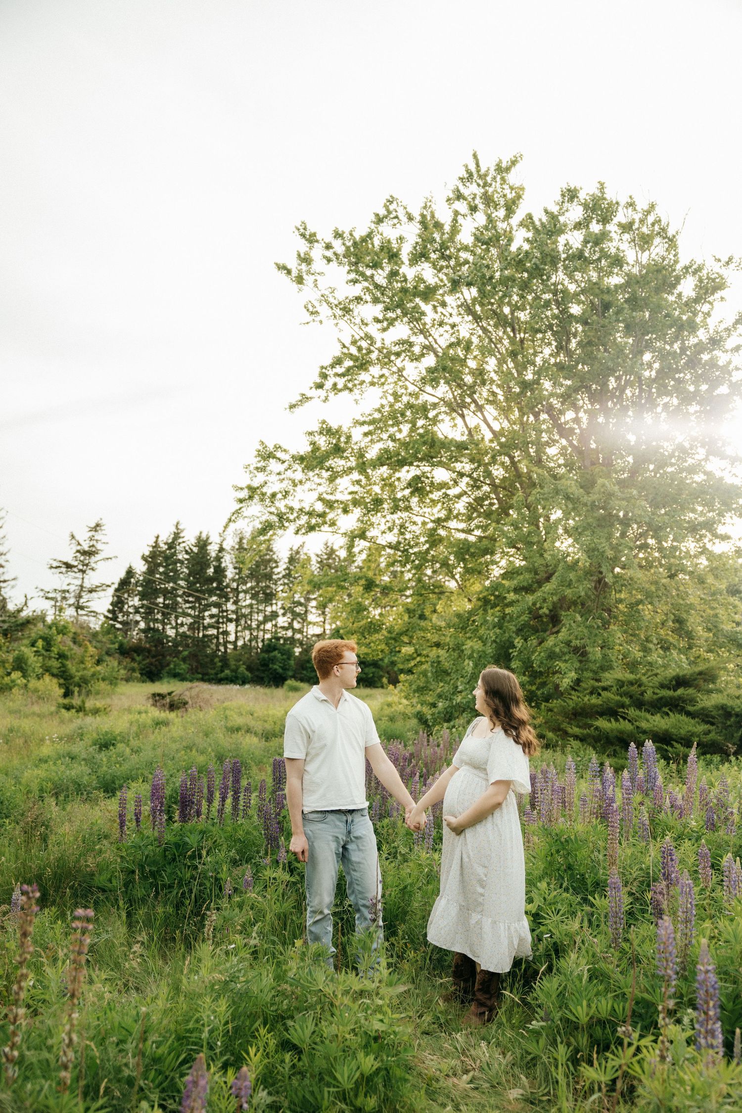 Couple walking hand in hand through a beautiful field of purple lupine flowers on a sunny summer evening.