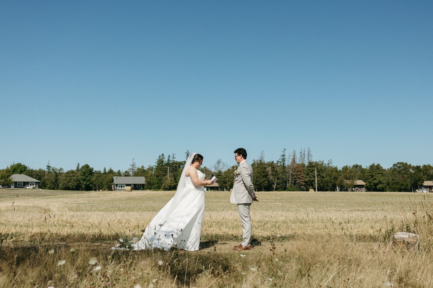 A bride and groom hold hands walking through a golden wheat field under a clear blue sky.