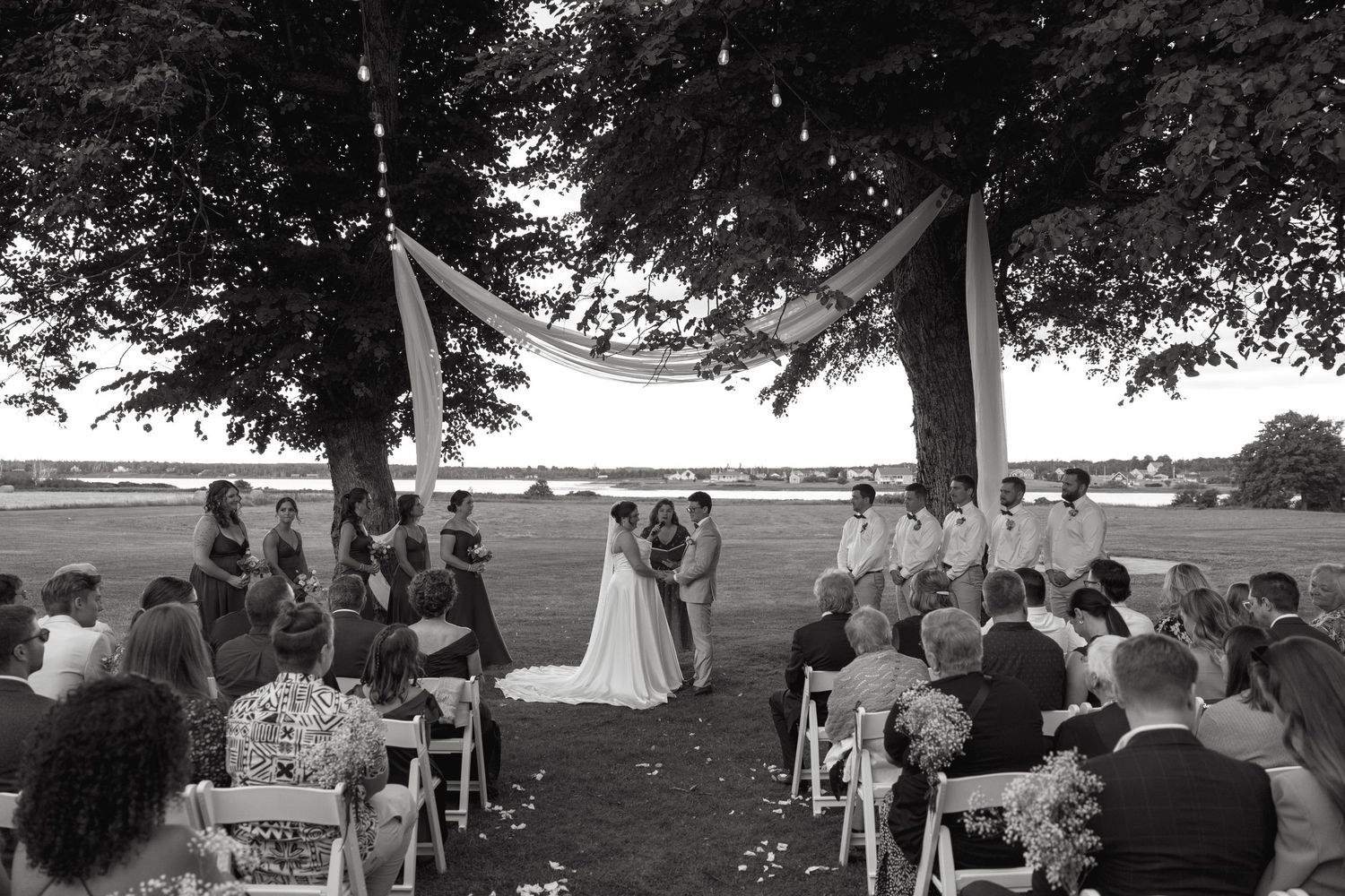 Black and white photo of outdoor wedding ceremony under large trees with guests seated in white chairs.