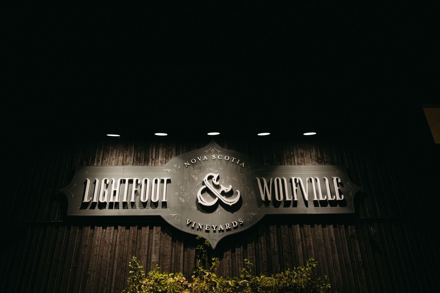 Illuminated signage on a dark wooden wall at night.