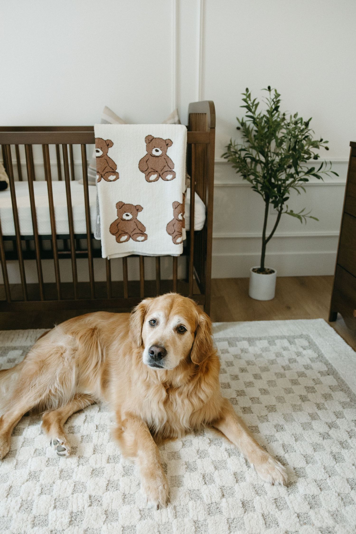 Golden retriever resting on gray patterned rug near wooden crib with teddy bear decorations.