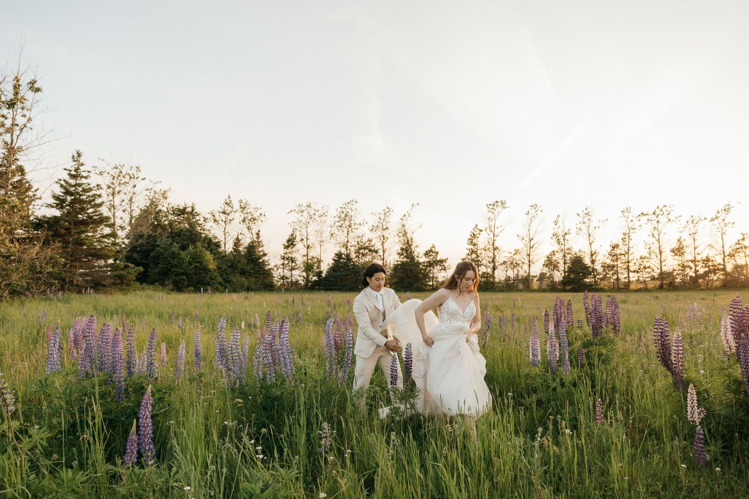 Bride and groom holding hands in a lush field of purple lupine wildflowers at golden hour.