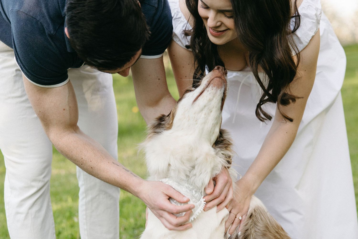 A couple bends down together to pet a fluffy white and brown dog on a green lawn.