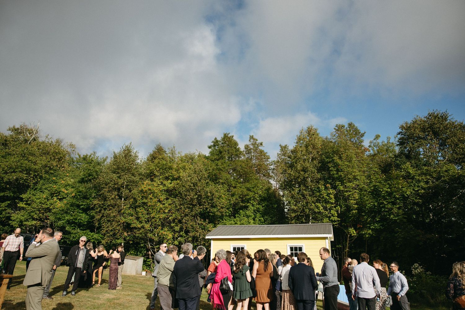 Scenic outdoor wedding venue with blue skies and tall evergreen trees in the background.