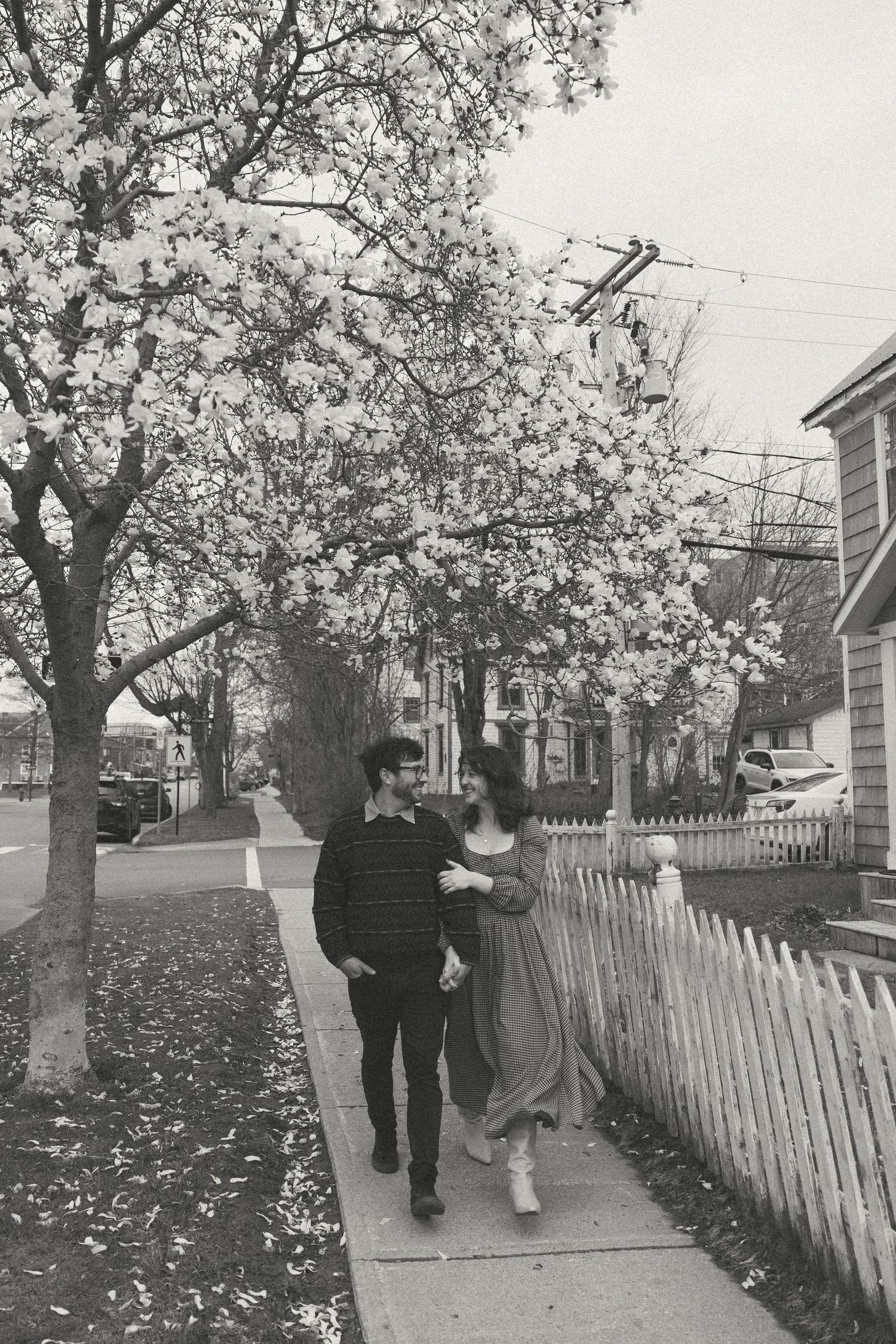 Black and white photo of a couple strolling along a sidewalk under flowering trees beside a white picket fence.
