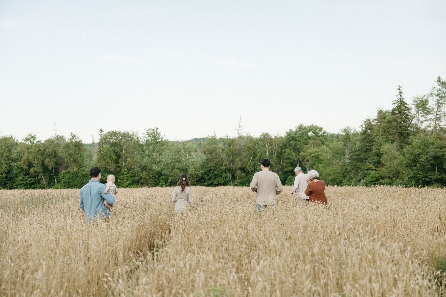 A family walks together through a golden wheat field with lush green trees behind.