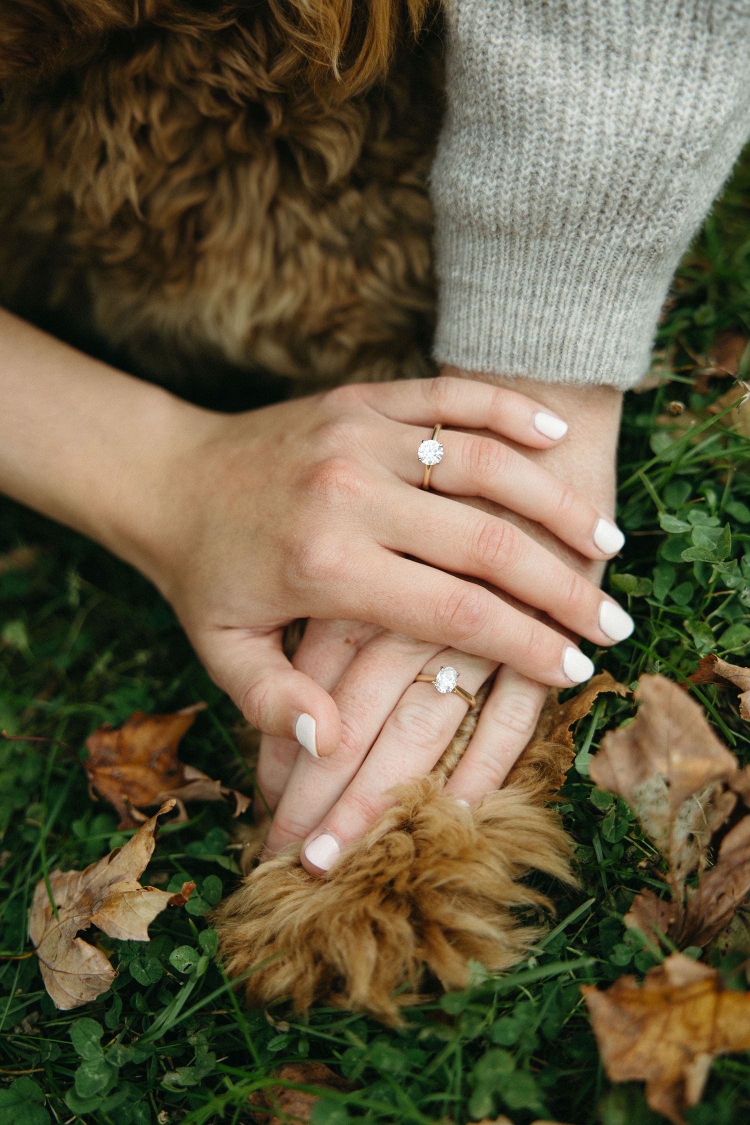 Two hands with sparkling engagement rings rest together on a dog's fur and paw above green grass and fallen autumn leaves.