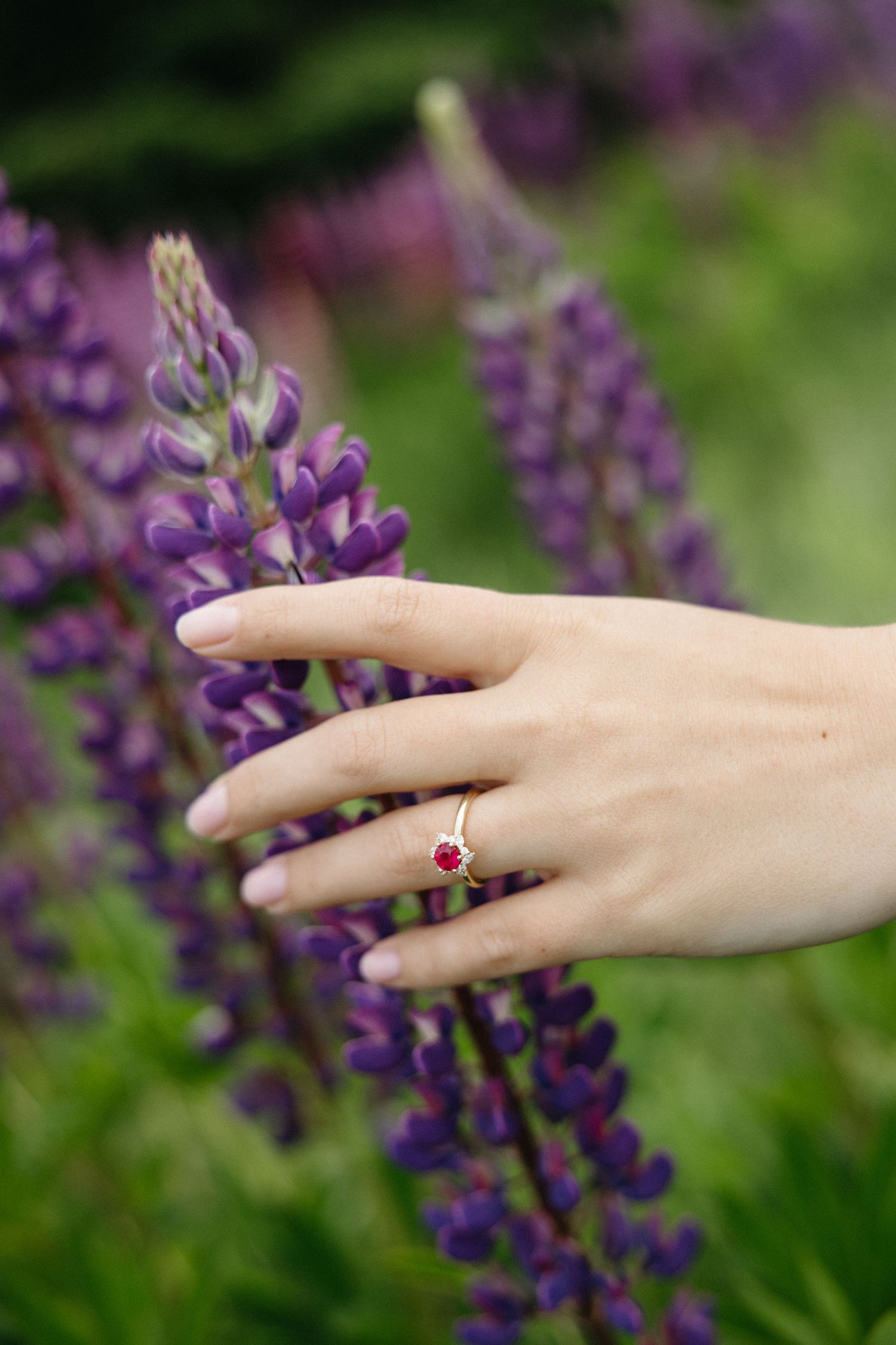 A hand wearing a delicate gold ring with a red gemstone touches purple lupine flowers in a lush green field.