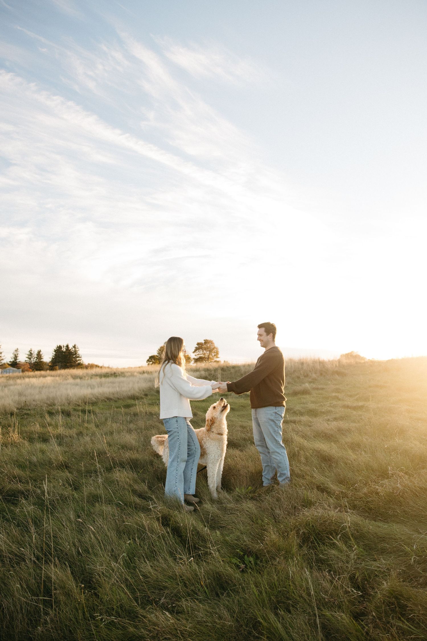Couple holding hands with their golden retriever in a grassy field at golden hour sunset.