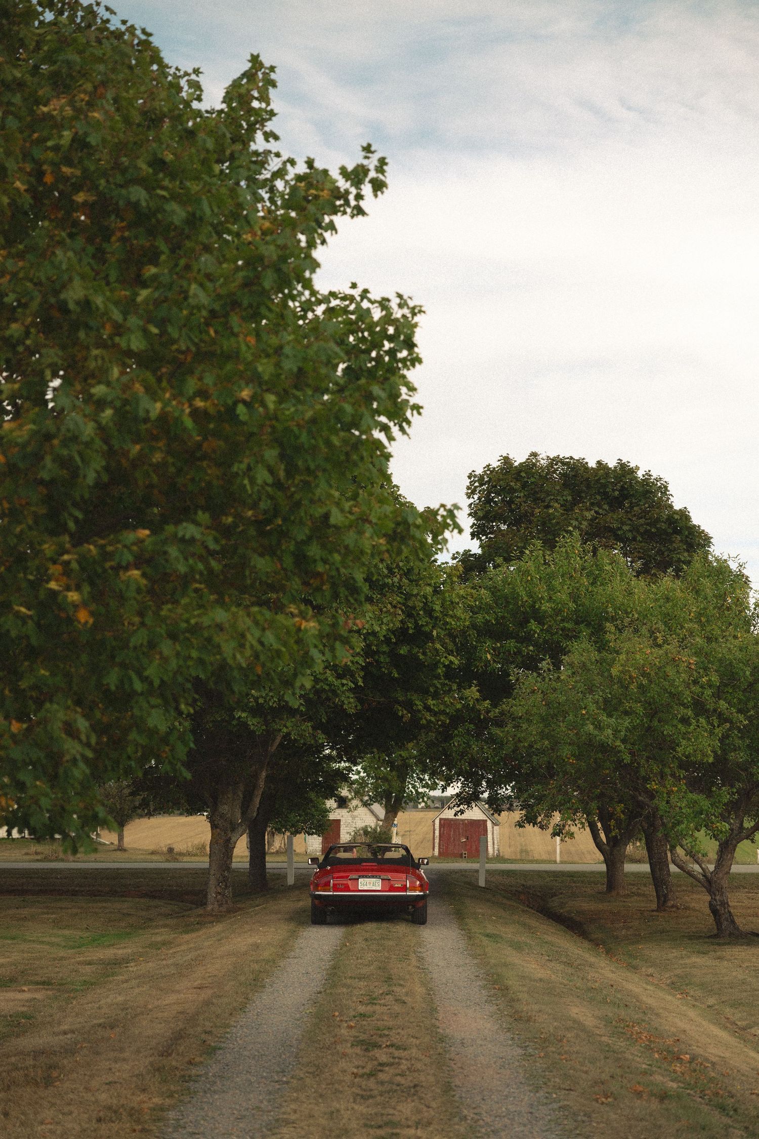 Tree-lined driveway leads to a rural property with red car visible in distance.