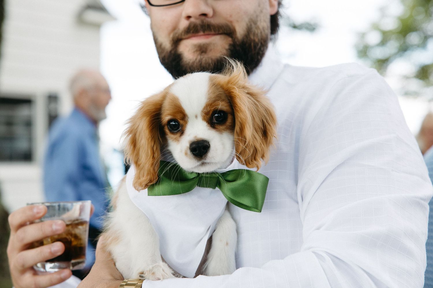 Bearded man in white shirt holding a Cavalier King Charles Spaniel puppy wearing a green bow tie.