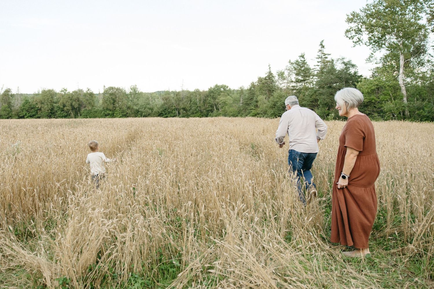 Grandparents and grandchild walking through golden wheat field with lush green trees in background.