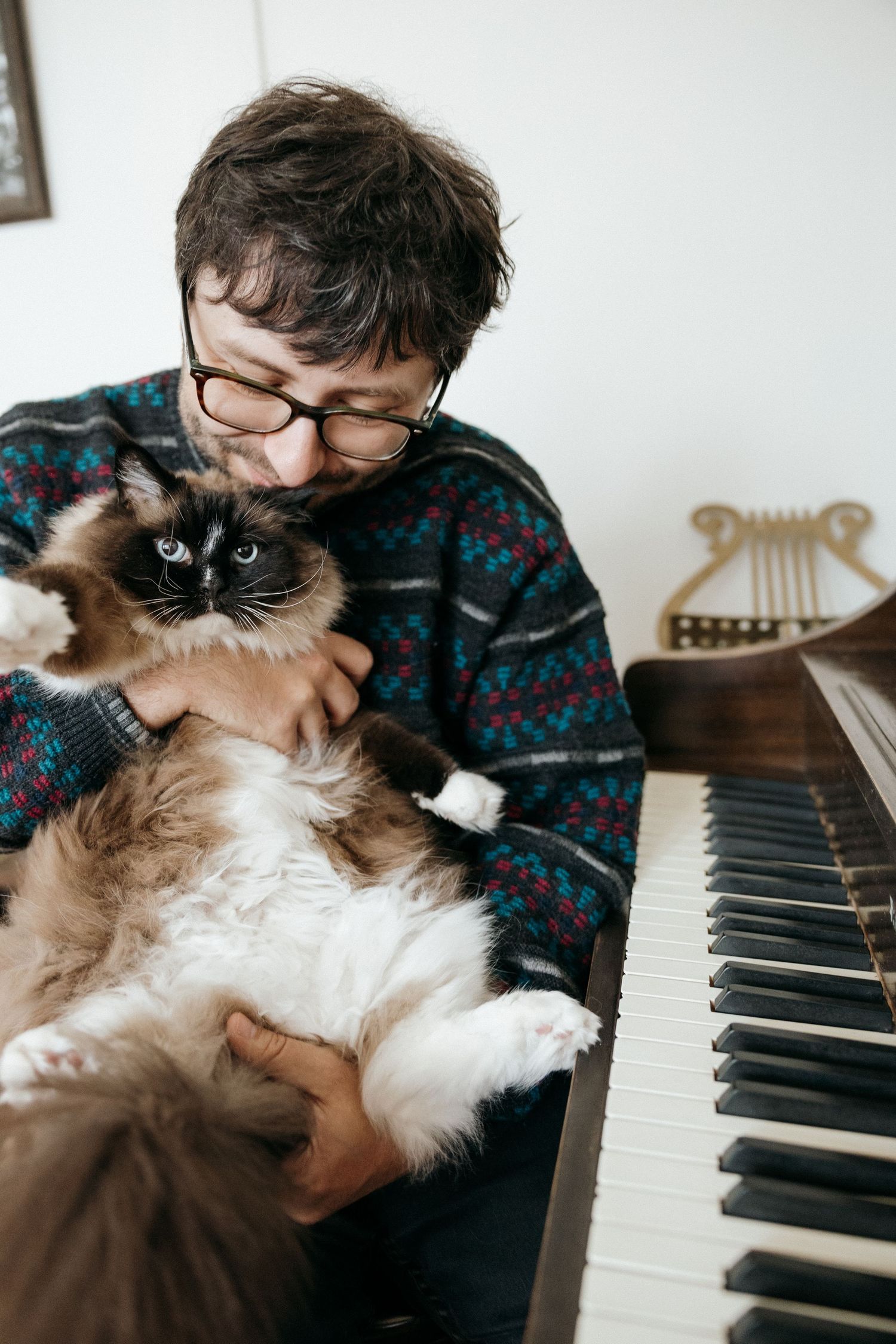 Man in patterned sweater and glasses cuddling a fluffy Ragdoll cat beside a piano.
