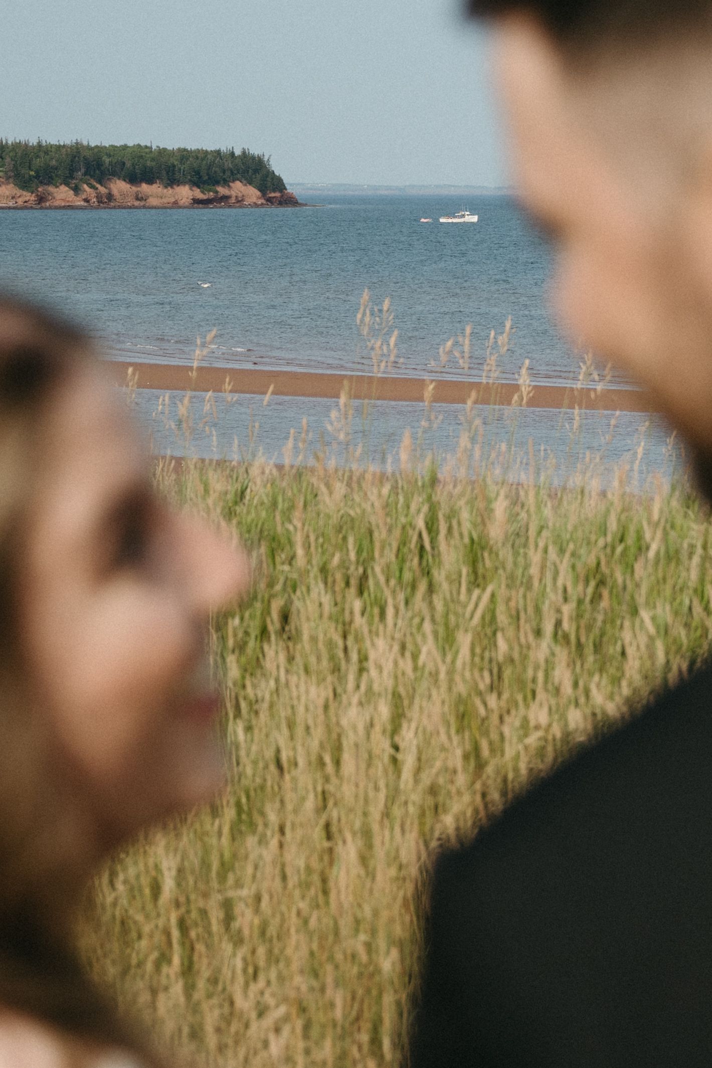 Seaside wedding photo with tall grass and ocean view in soft focus.