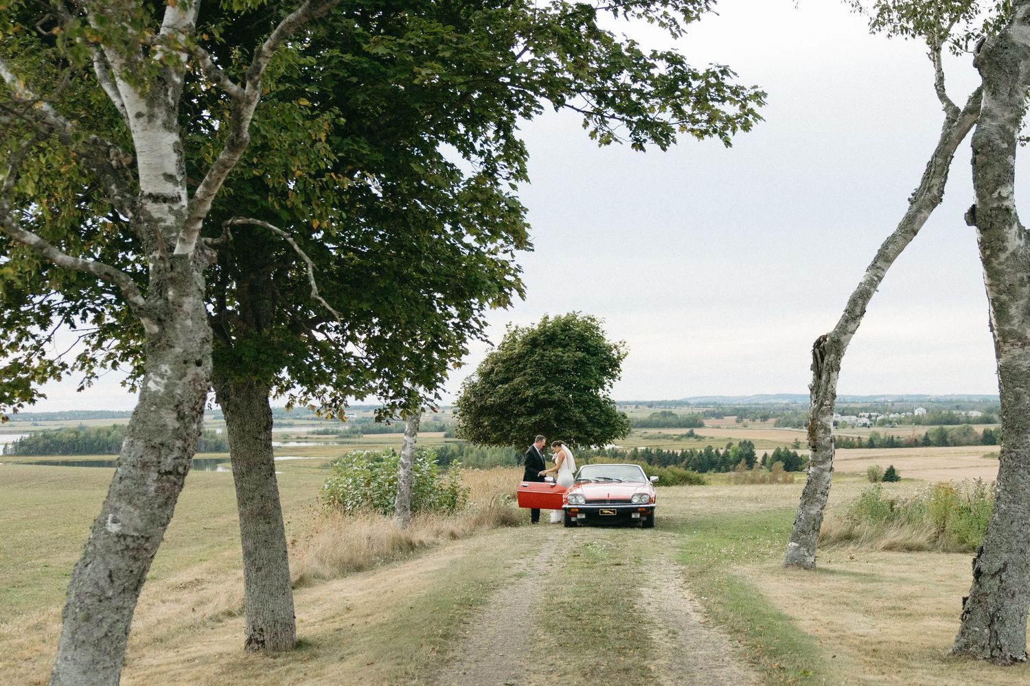 Tree-lined path through a rural field with red car visible in distance.