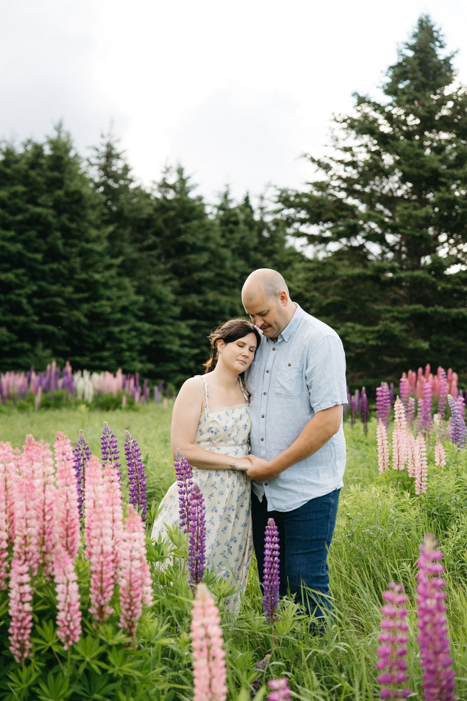 A couple stands close together in a vibrant field of pink and purple lupine flowers.