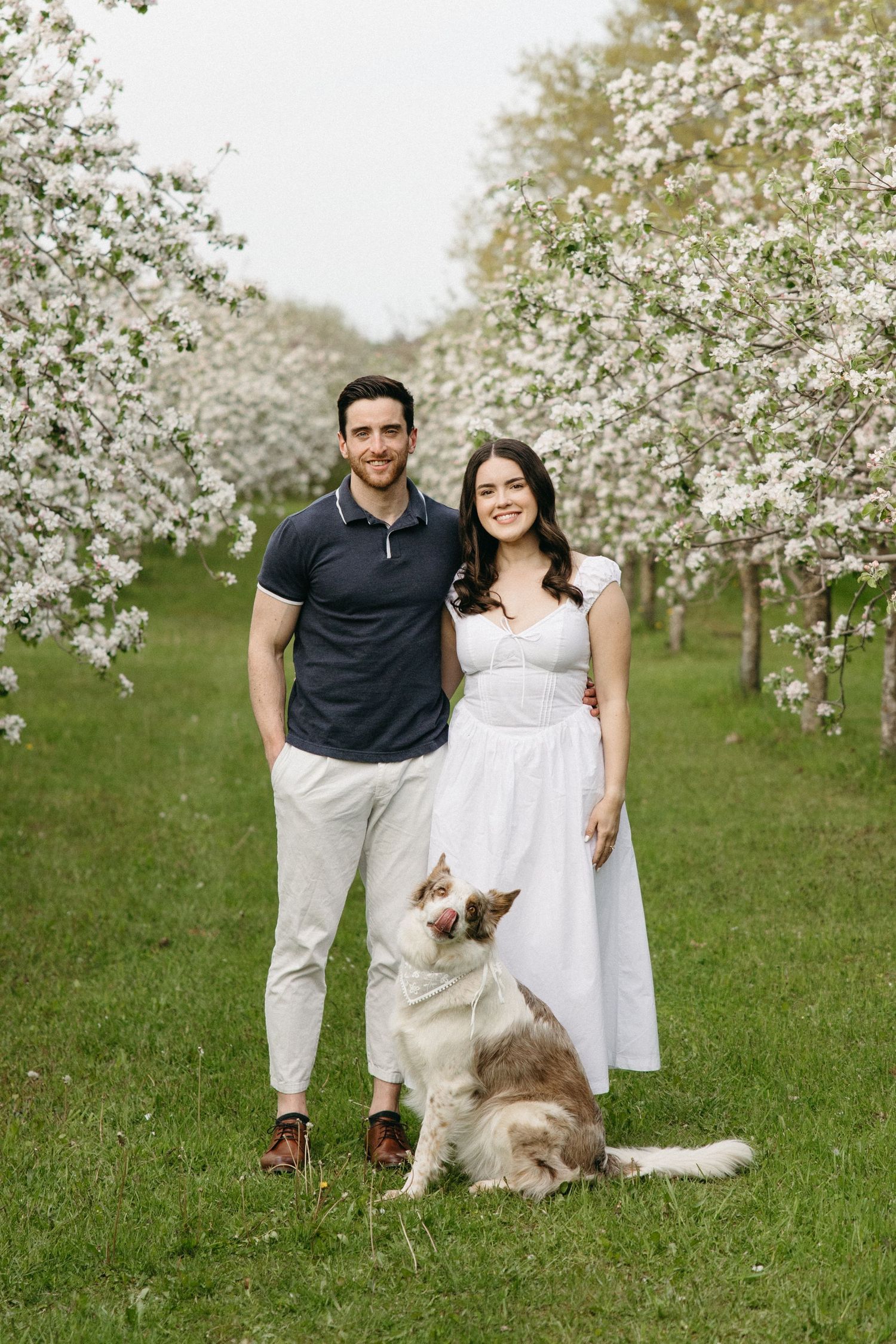Couple smiling with their dog in a blooming white flower orchard on a green lawn in spring.