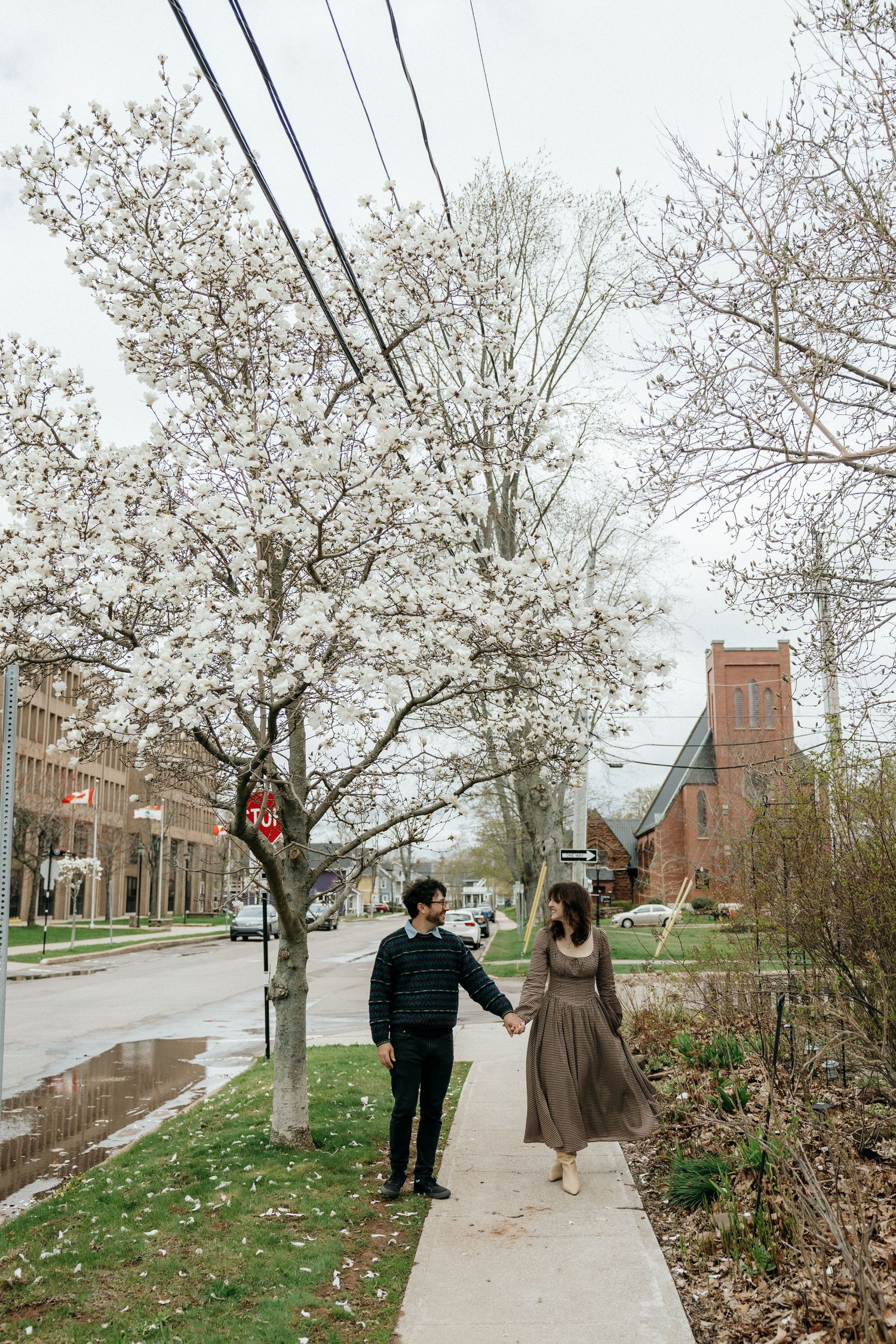 Couple holding hands walking on a sidewalk beside blooming white cherry blossom trees on a cloudy spring day.