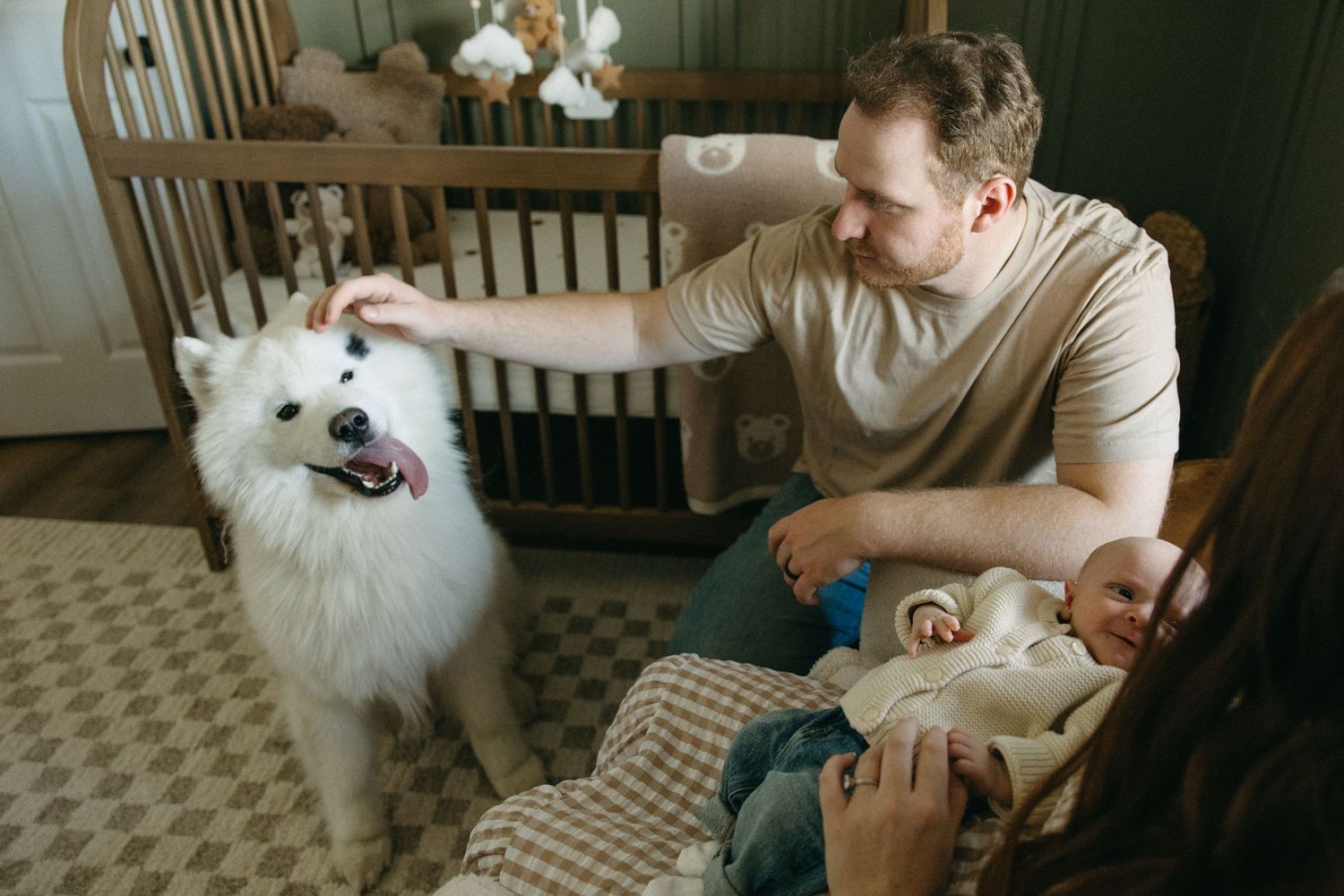 A white fluffy Samoyed dog interacts playfully with family members on furniture.