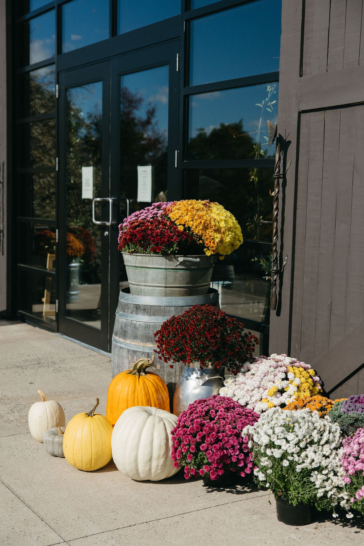Fall decorative display with pumpkins and colorful mums outside a modern building.