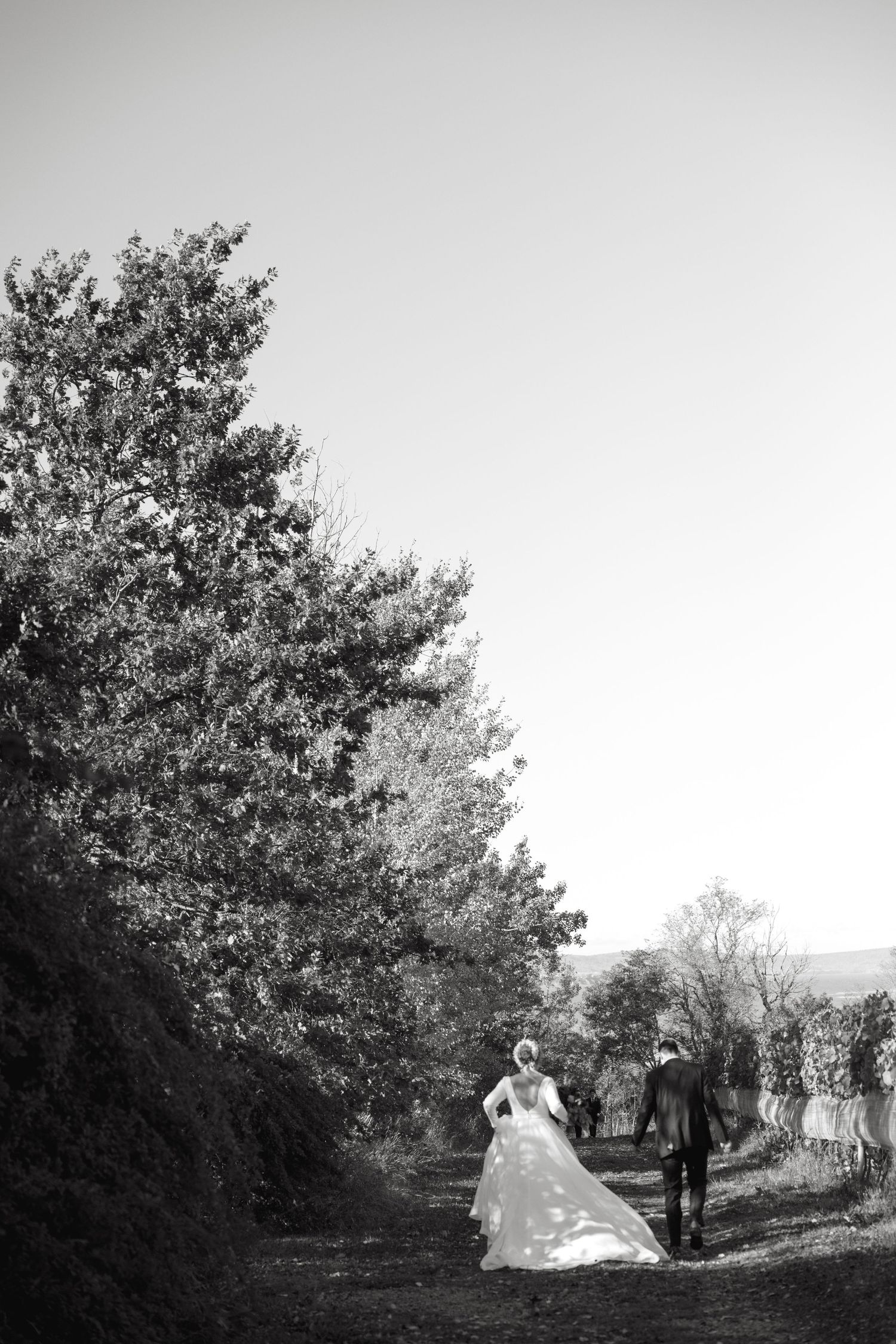 Black and white panoramic wedding scene showing couple's silhouette against a natural landscape.