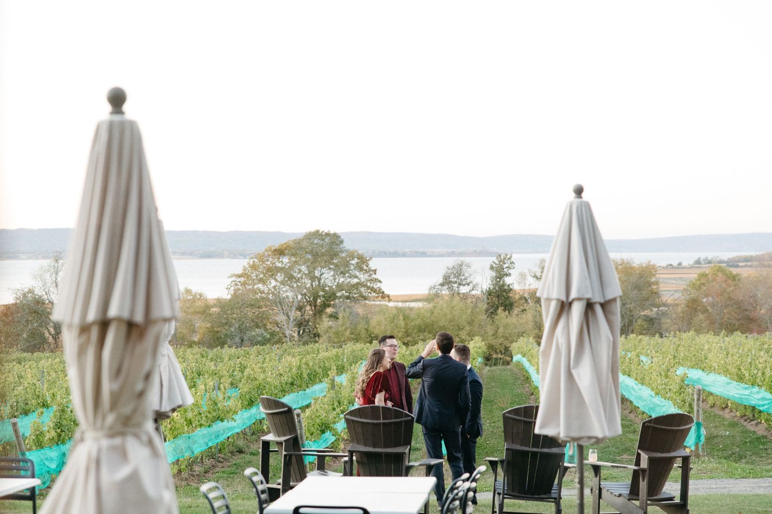 Outdoor event space with white umbrellas overlooking a scenic landscape.