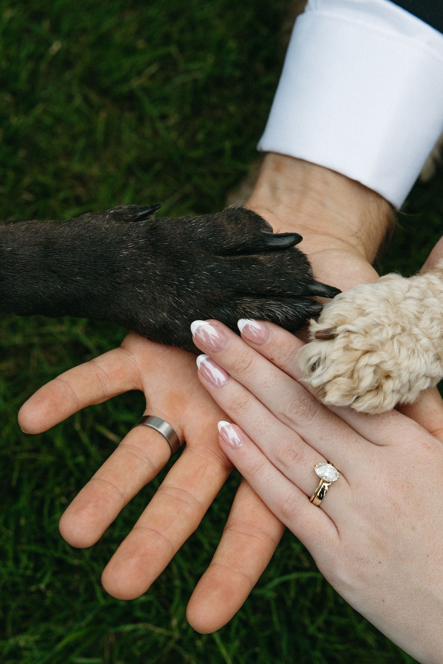 Bride and groom hold hands with their two dogs paws on top, showing off wedding rings on green grass.