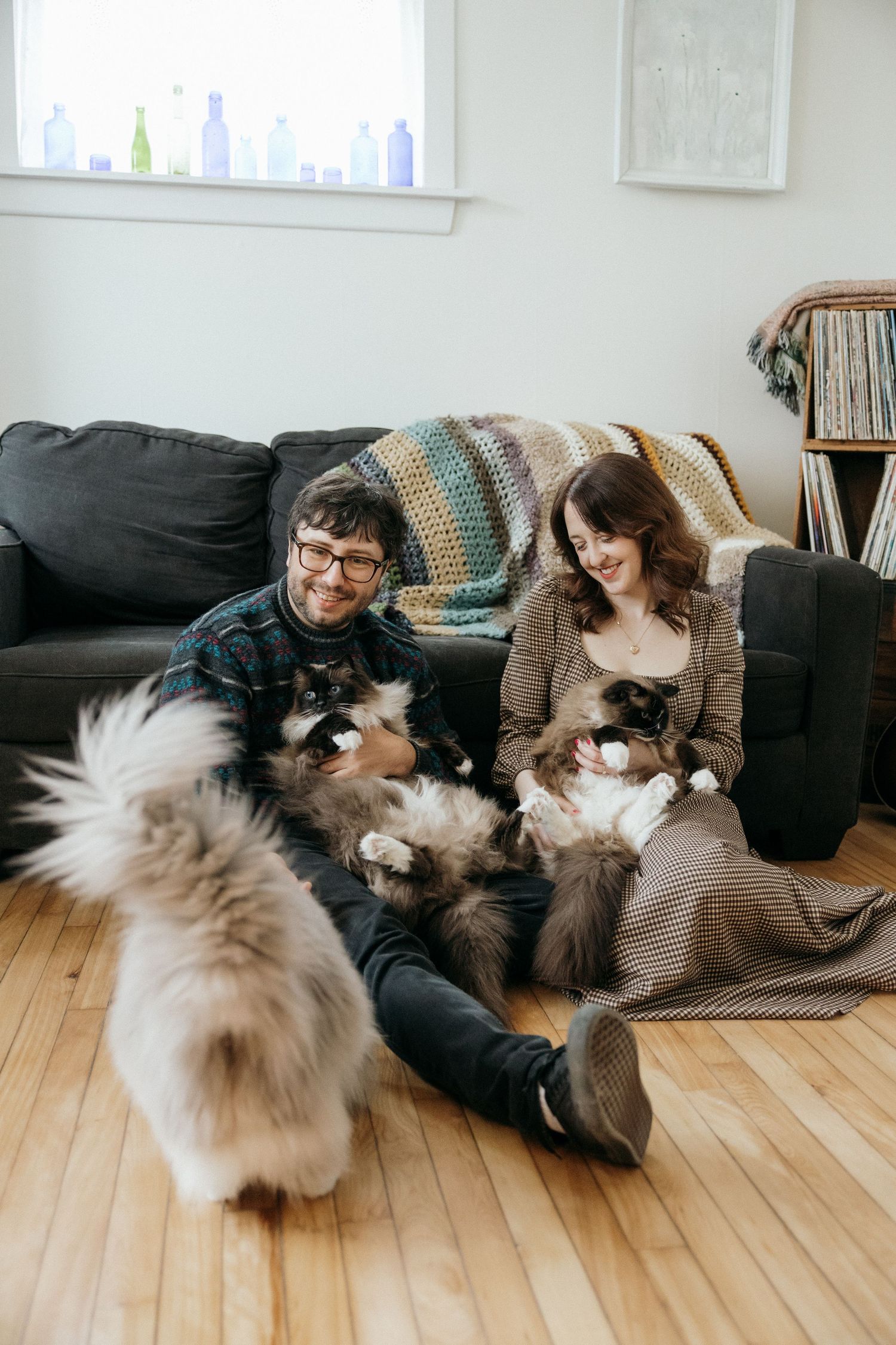 A couple smiles while playing with two fluffy cats on a hardwood floor beside a gray couch in a cozy living room.