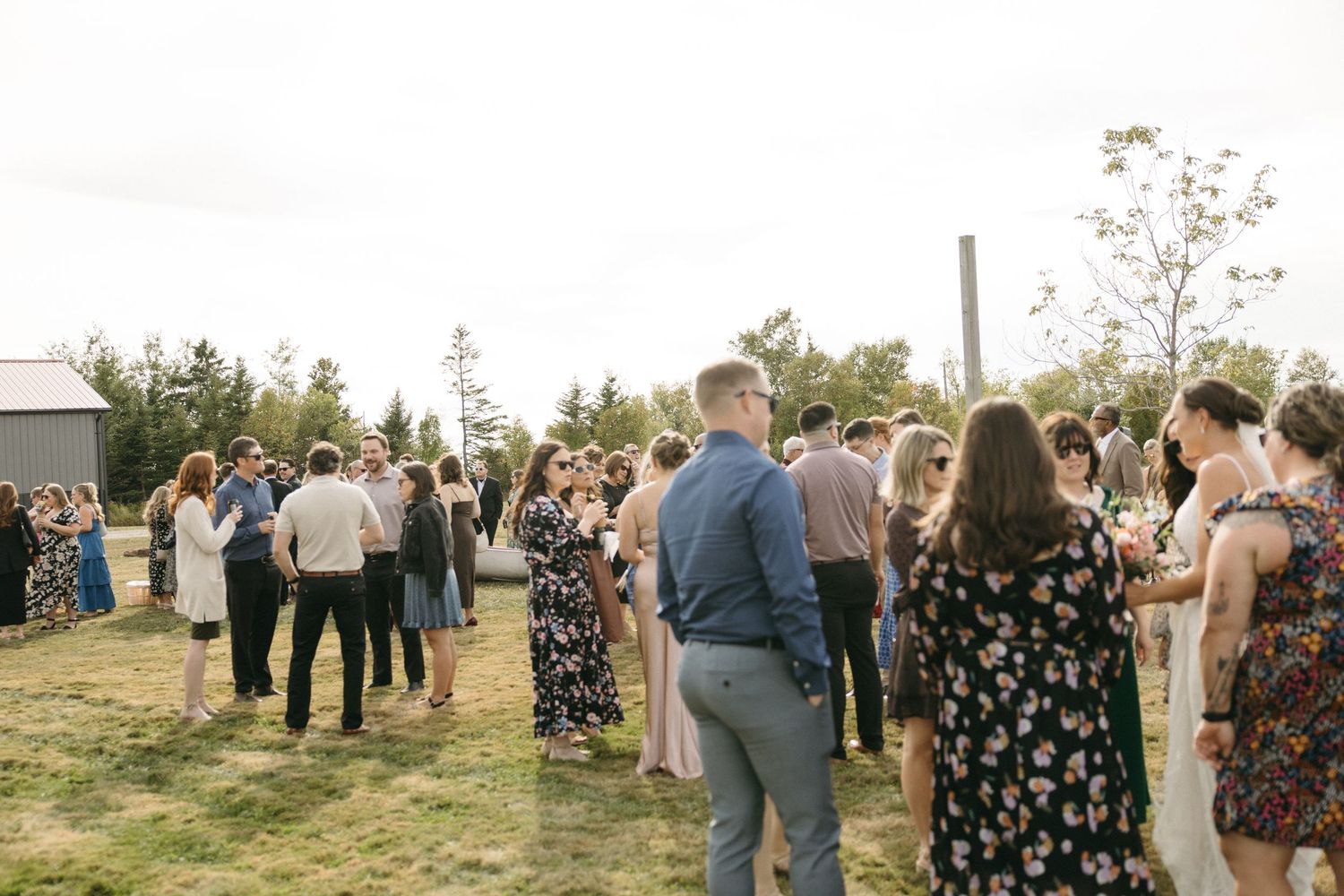 Wedding guests mingle outdoors during a sunny afternoon celebration.
