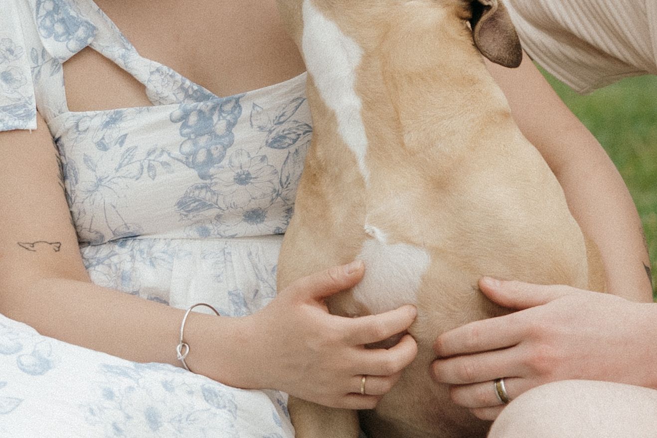 PEI weddings, PEI photographer, PEI elopement, PEI wedding Photographer, PEI Cliffs, PEI Beach photography