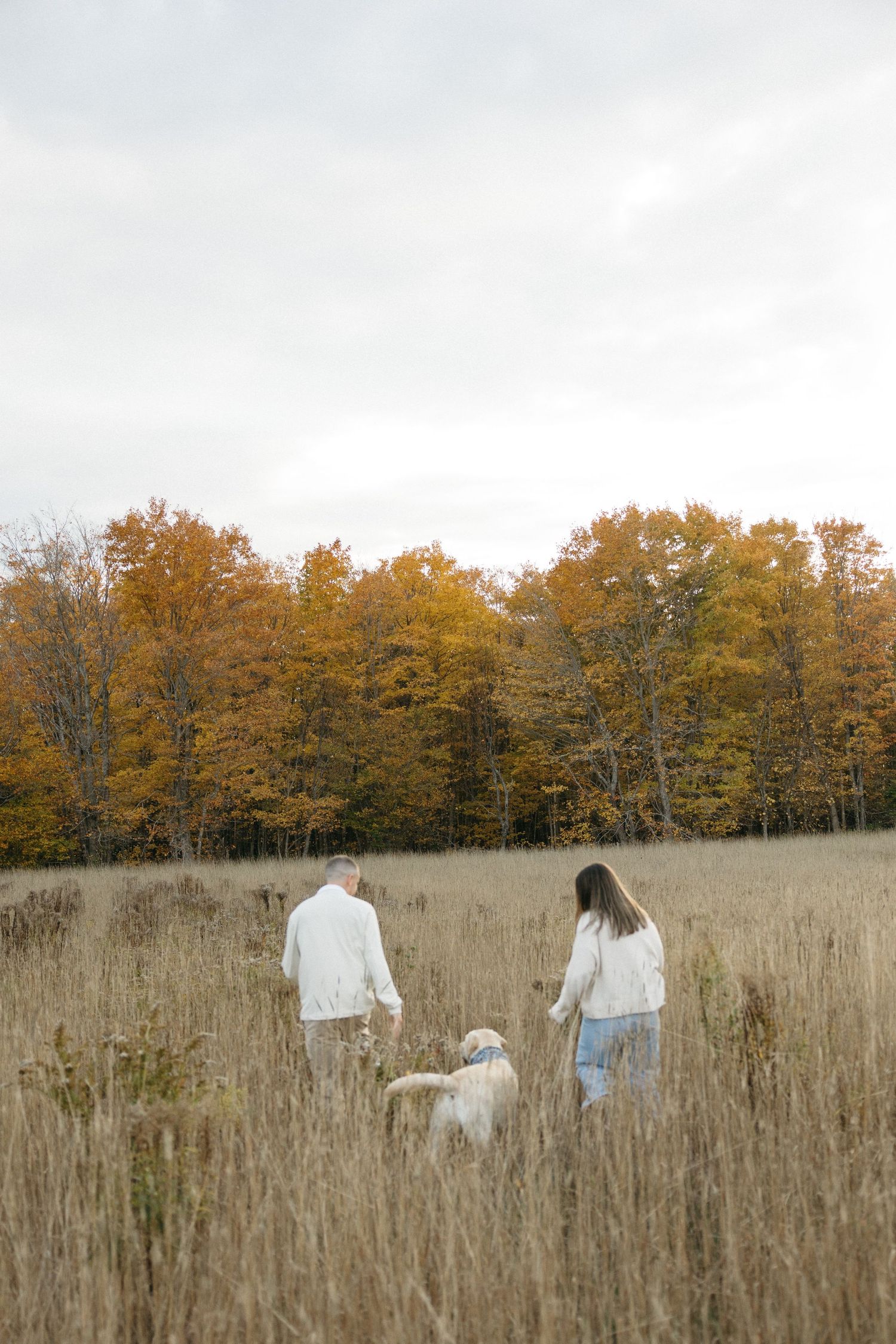 Family walking through tall grass field with their white dog during fall season.