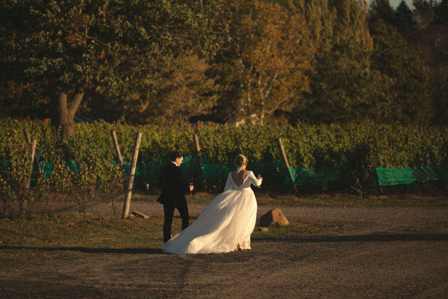 Golden sunset illuminates a rustic outdoor wedding ceremony setup with chairs arranged in rows.