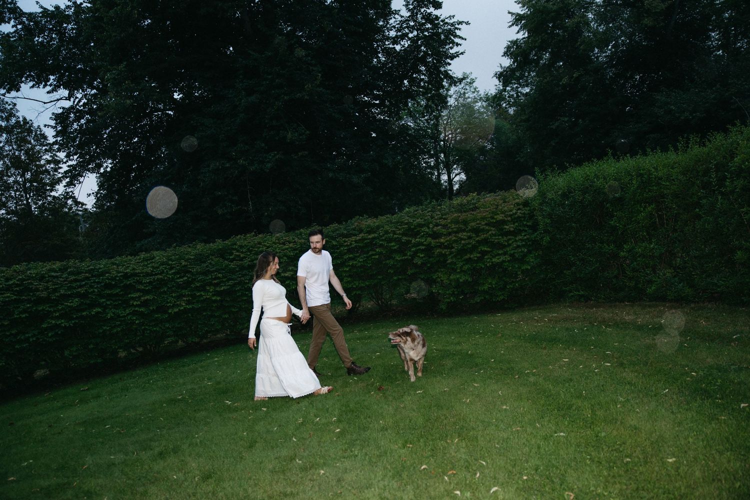 Couple in white dress and casual attire walking a dog on lush green lawn near tall hedges and trees.