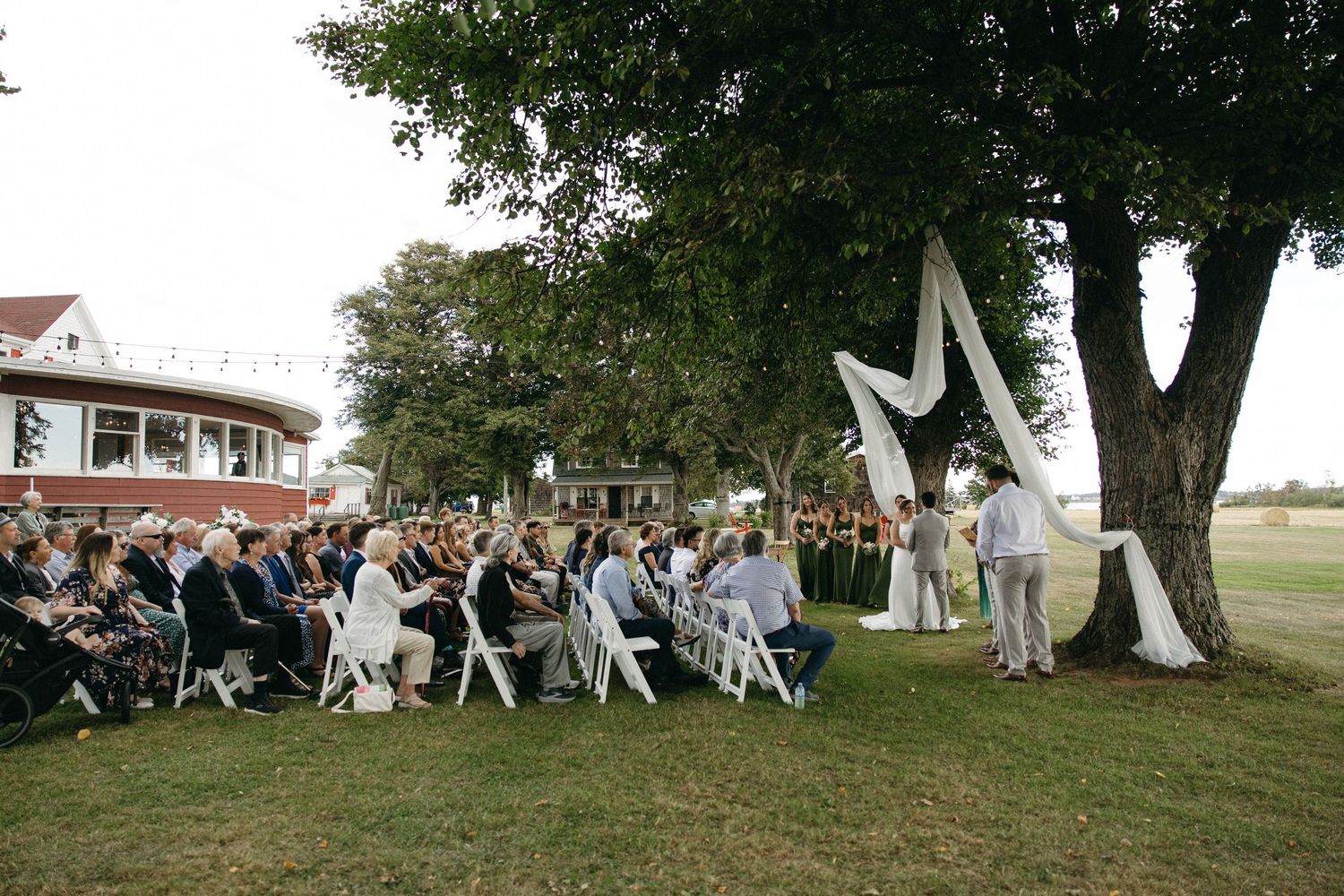 Guests seated in white chairs attend an outdoor wedding ceremony beneath large trees with white fabric decorations.