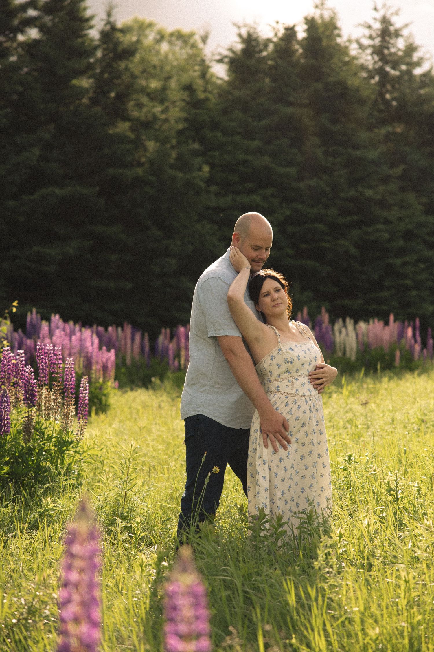 Couple embracing in a field of purple lupine flowers with evergreen trees in the background during golden hour.