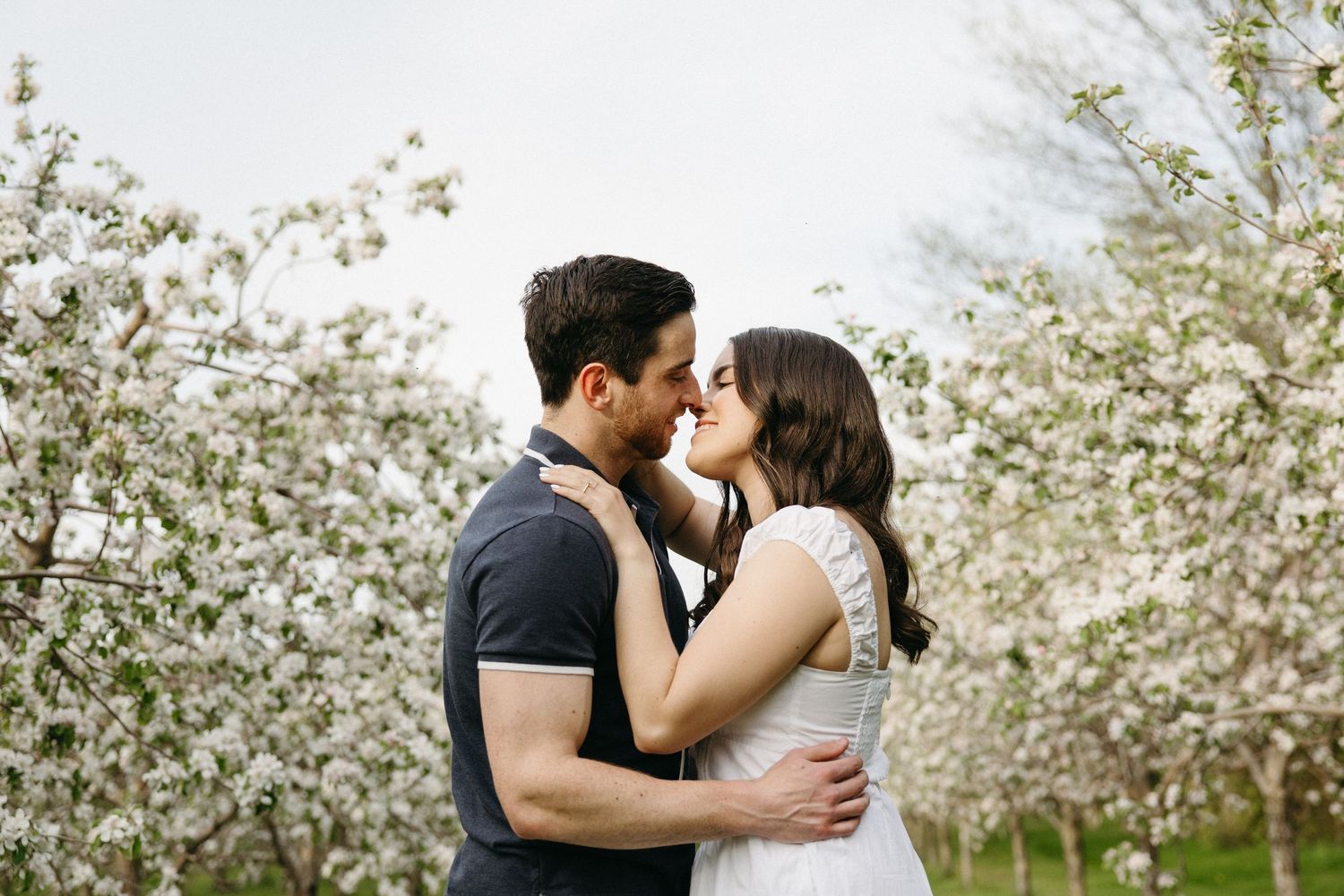 Romantic couple about to kiss surrounded by white flowering trees in a spring orchard.