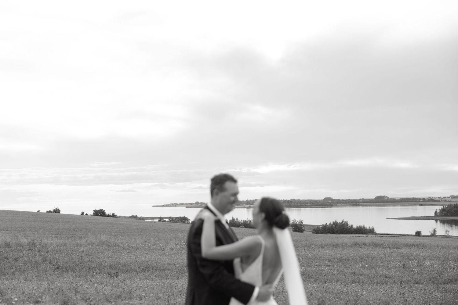 Dramatic black and white photo of wedding party celebrating in an open field.