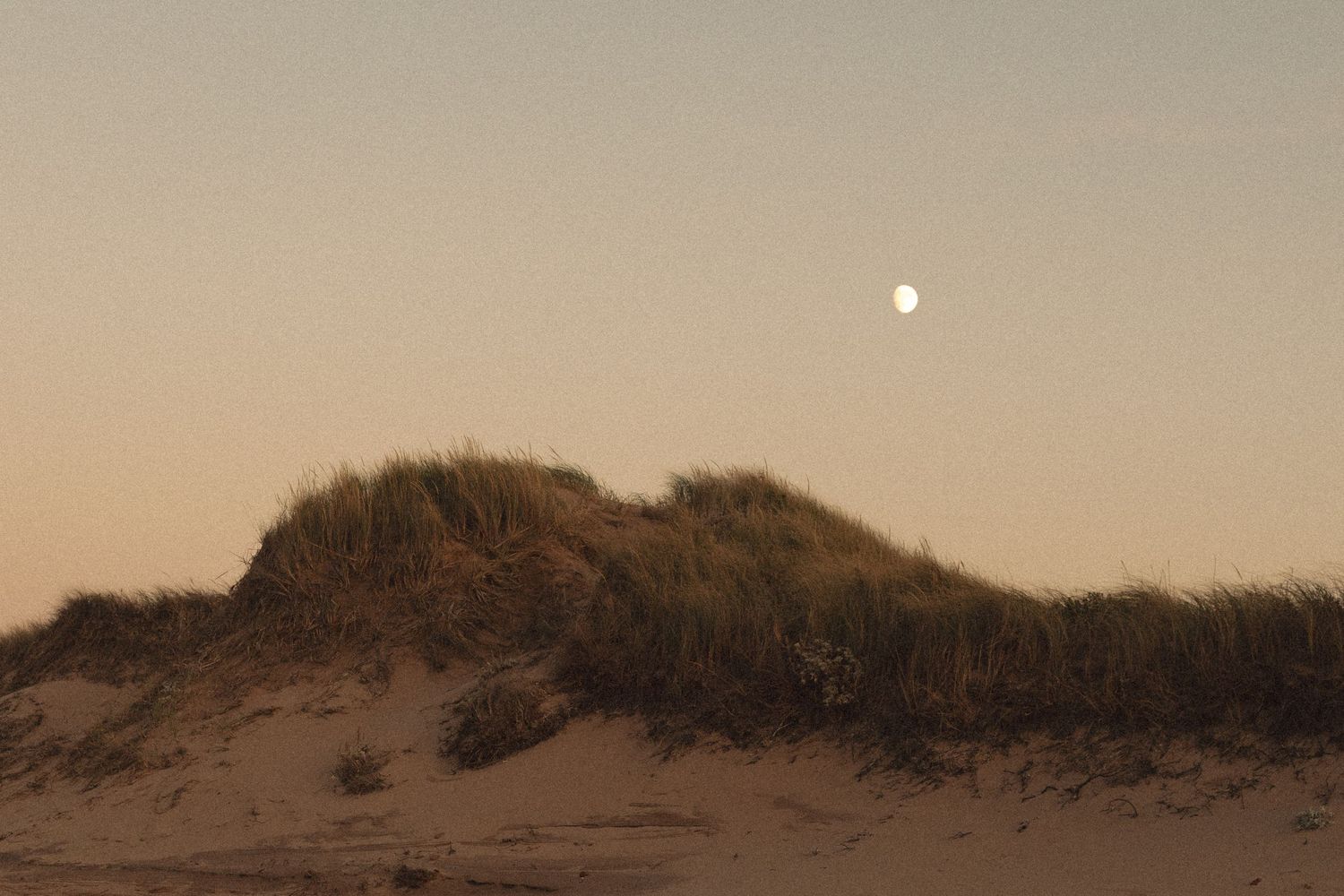 PEI Wedding, PEI Photography, PEI Wedding Photography, PEI photo, PEI proposal, where to propose on PEI, PEI engagement, PEI photography, PE