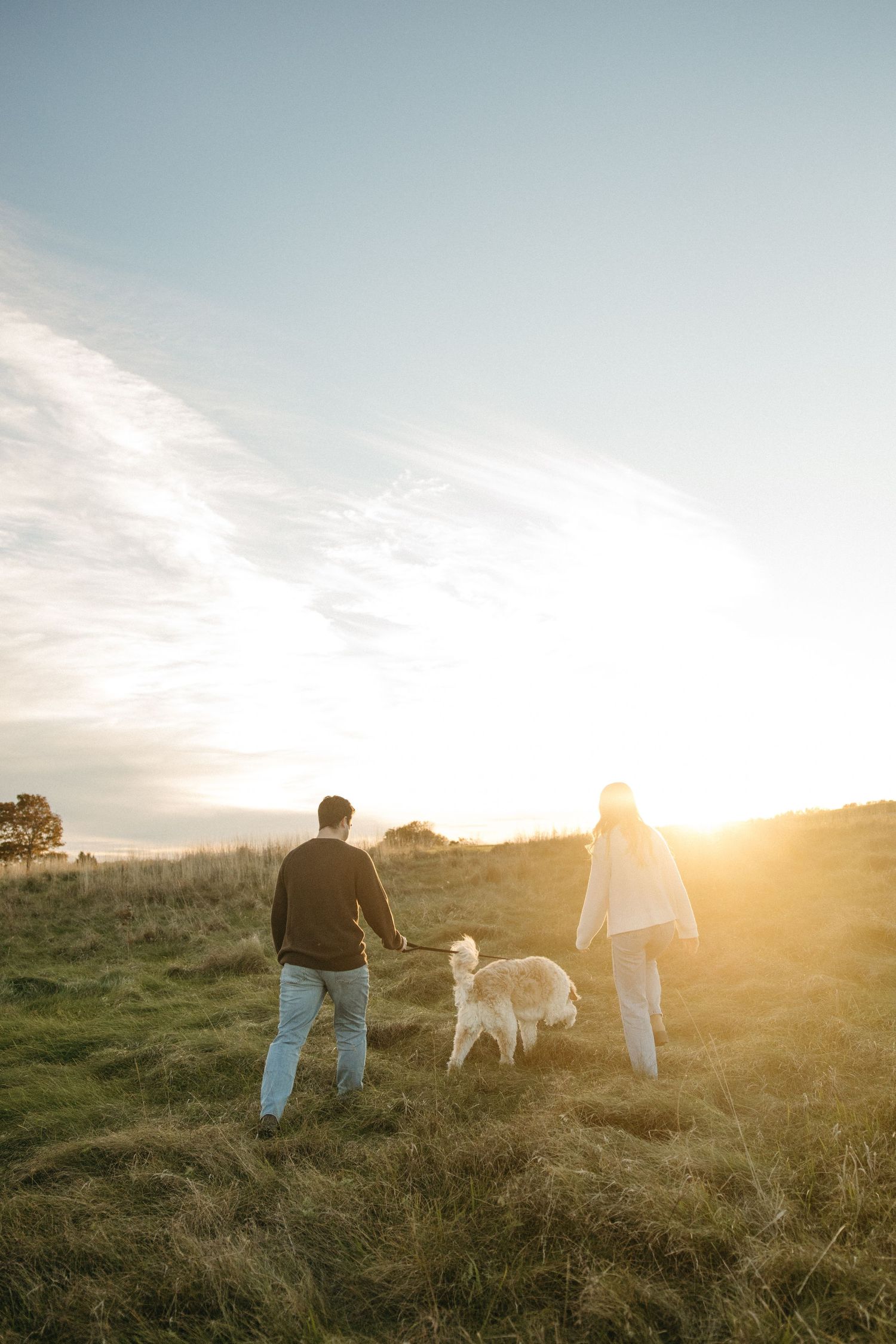 Couple walking their golden retriever through a sunlit grassy meadow toward the glowing sunset.