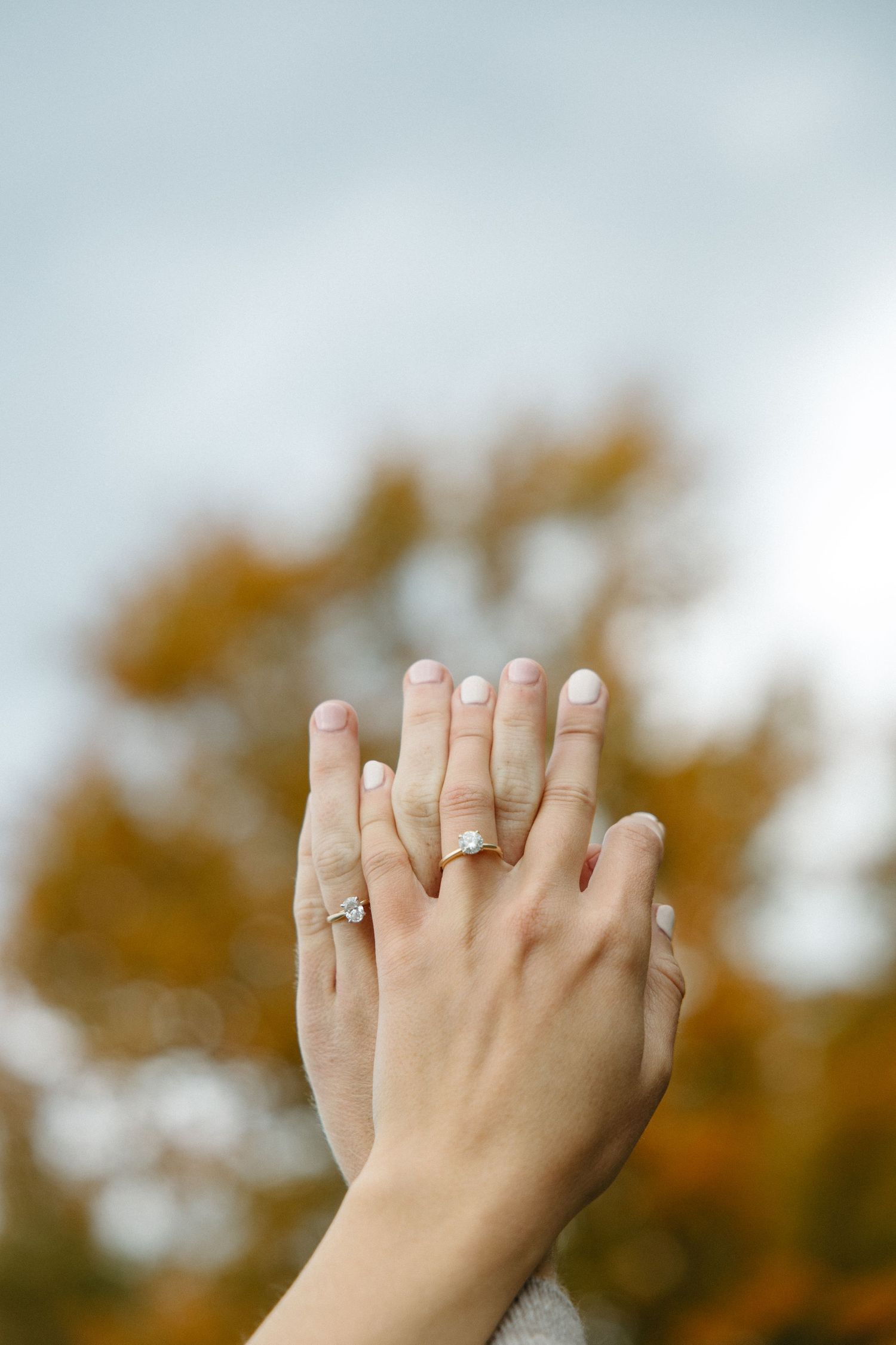 Two hands raised together against an autumn sky, each wearing a diamond engagement ring, with golden fall foliage softly blurred behind.