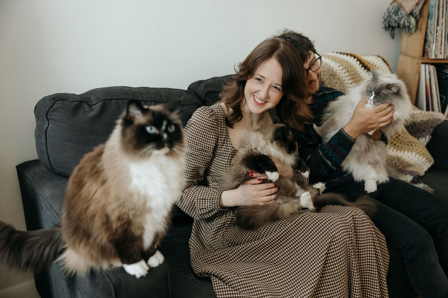 Smiling woman sitting on gray sofa holding fluffy Ragdoll cats in cozy living room setting.