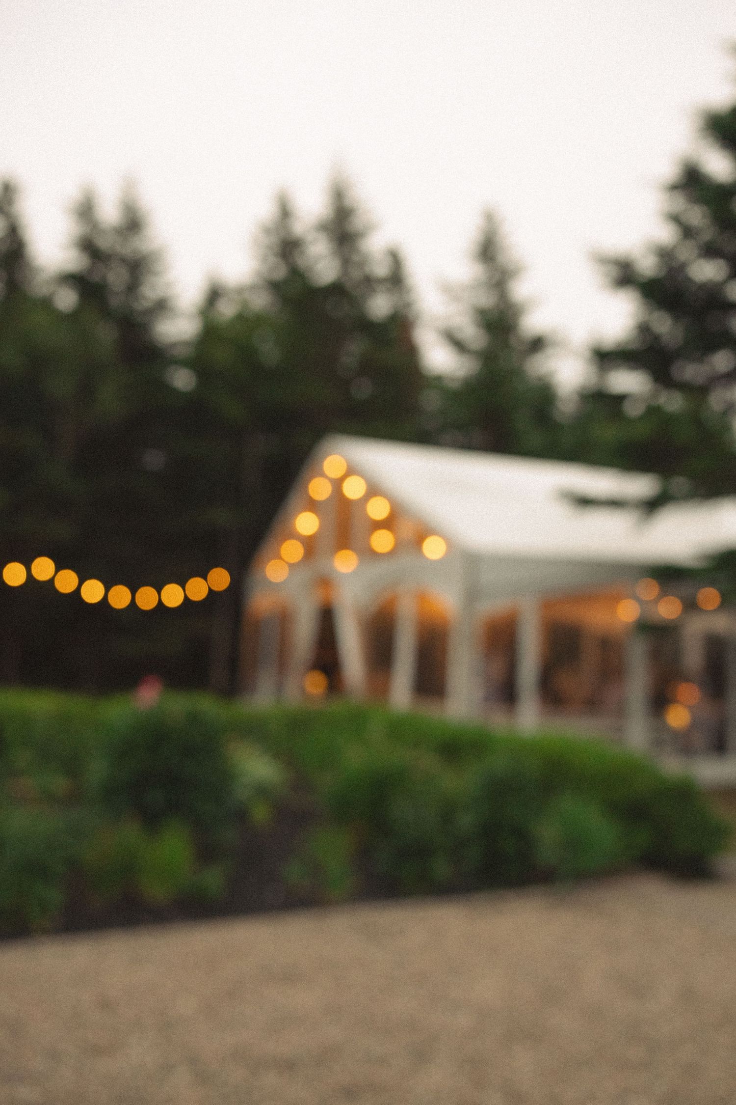Blurred bokeh image of a warmly lit wedding venue with string lights at dusk surrounded by pine trees.