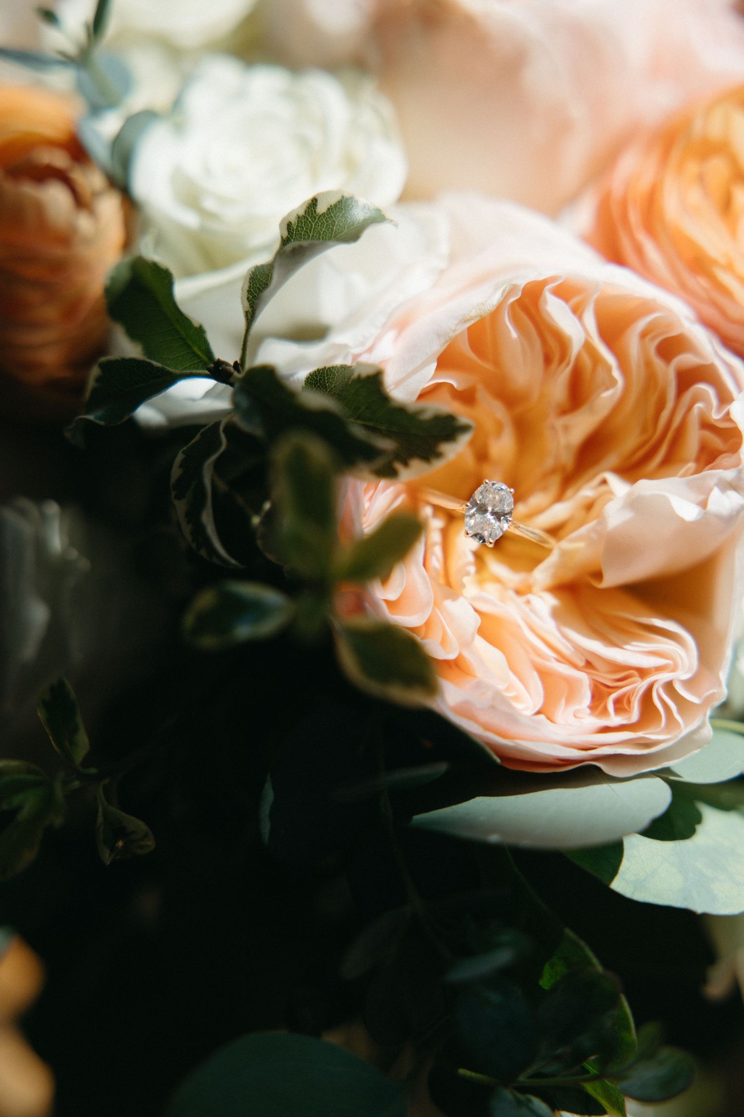 Diamond engagement ring nestled in a lush peach garden rose wedding bouquet.