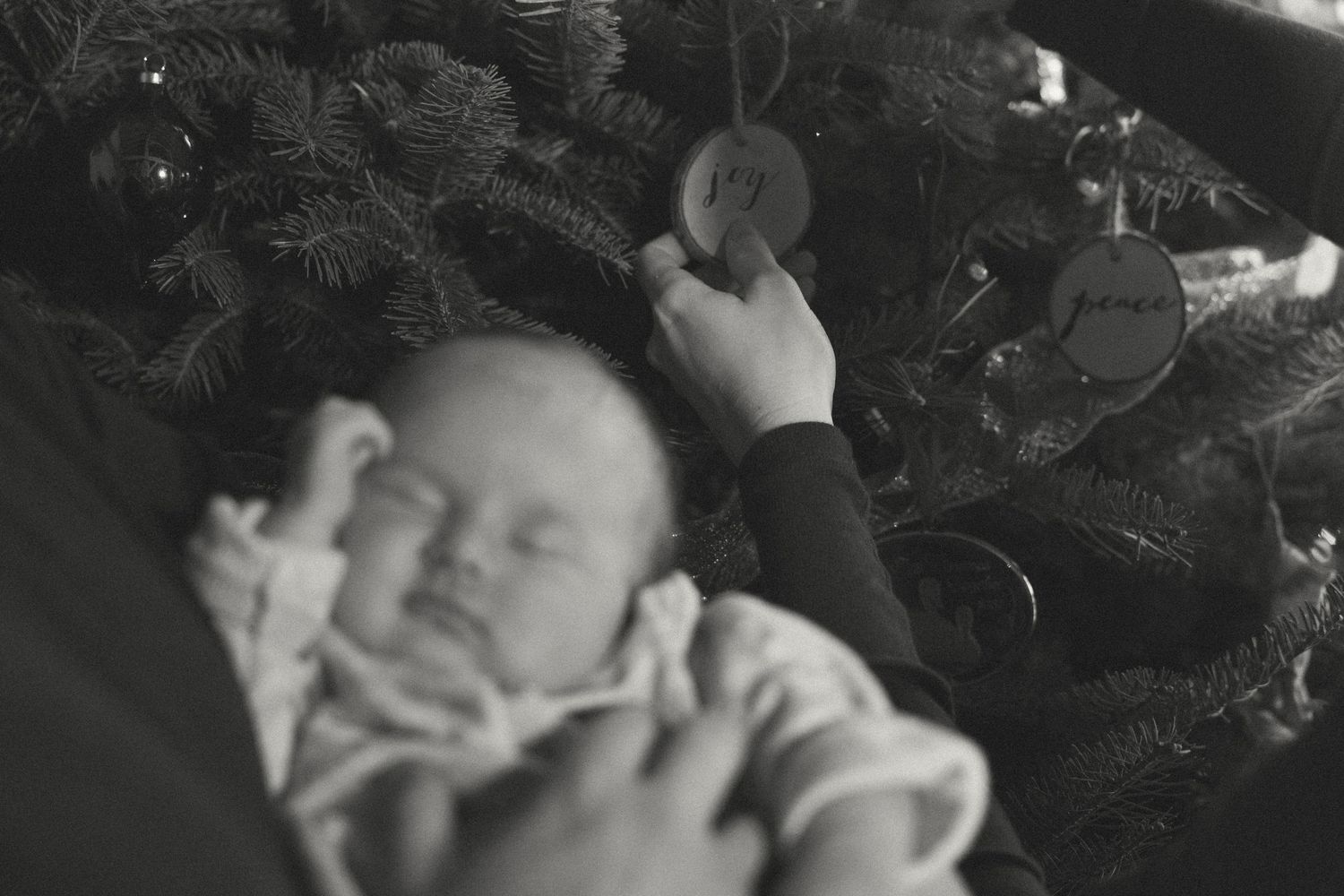Black and white portraits capturing intimate family moments near a Christmas tree.