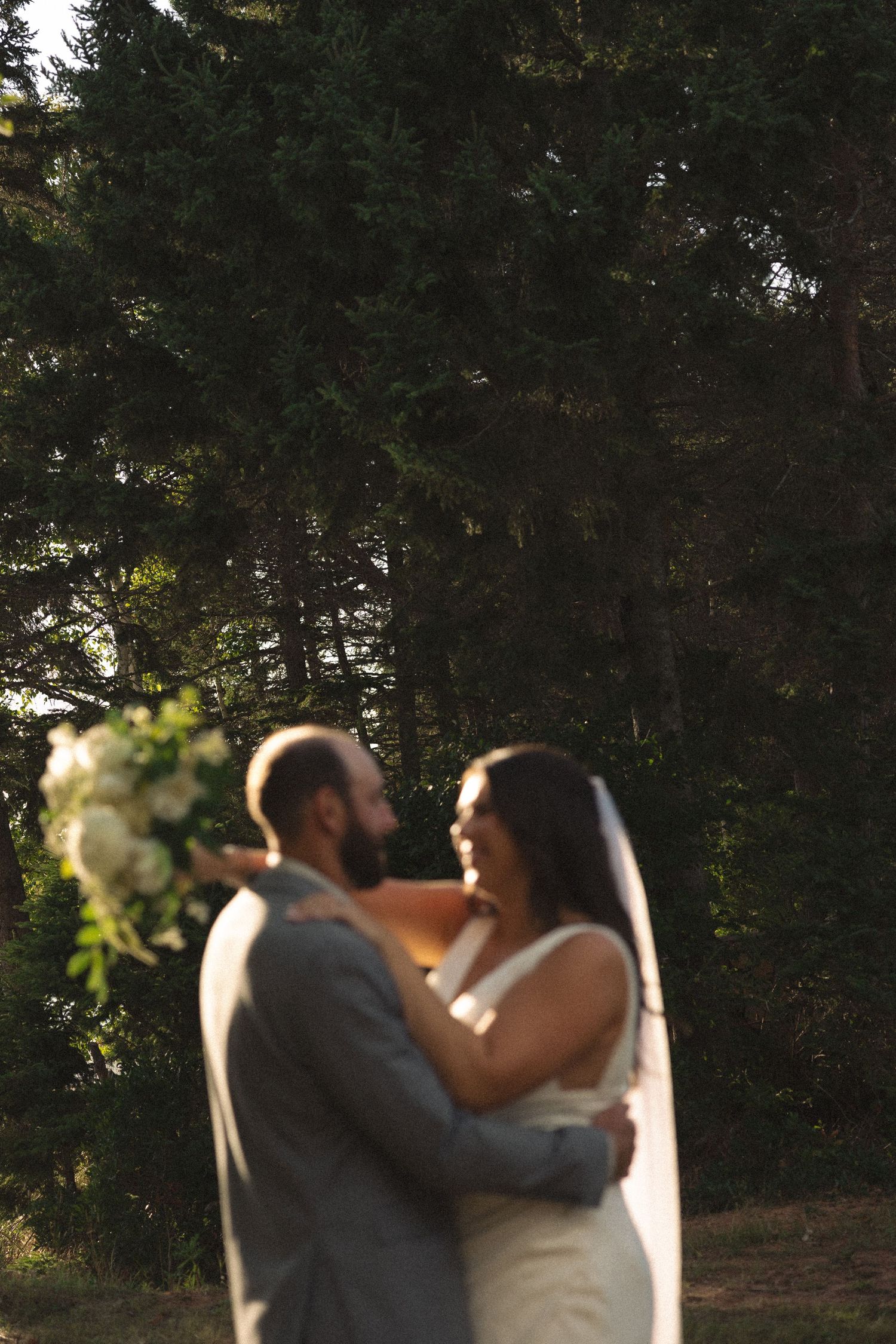Romantic sunset moment between couple in formal attire among trees.